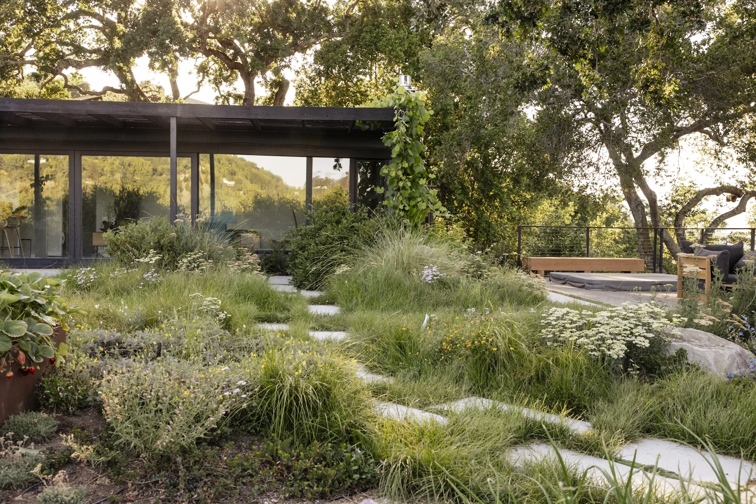 Christian Douglas' own Lush wild garden in San Rafael
