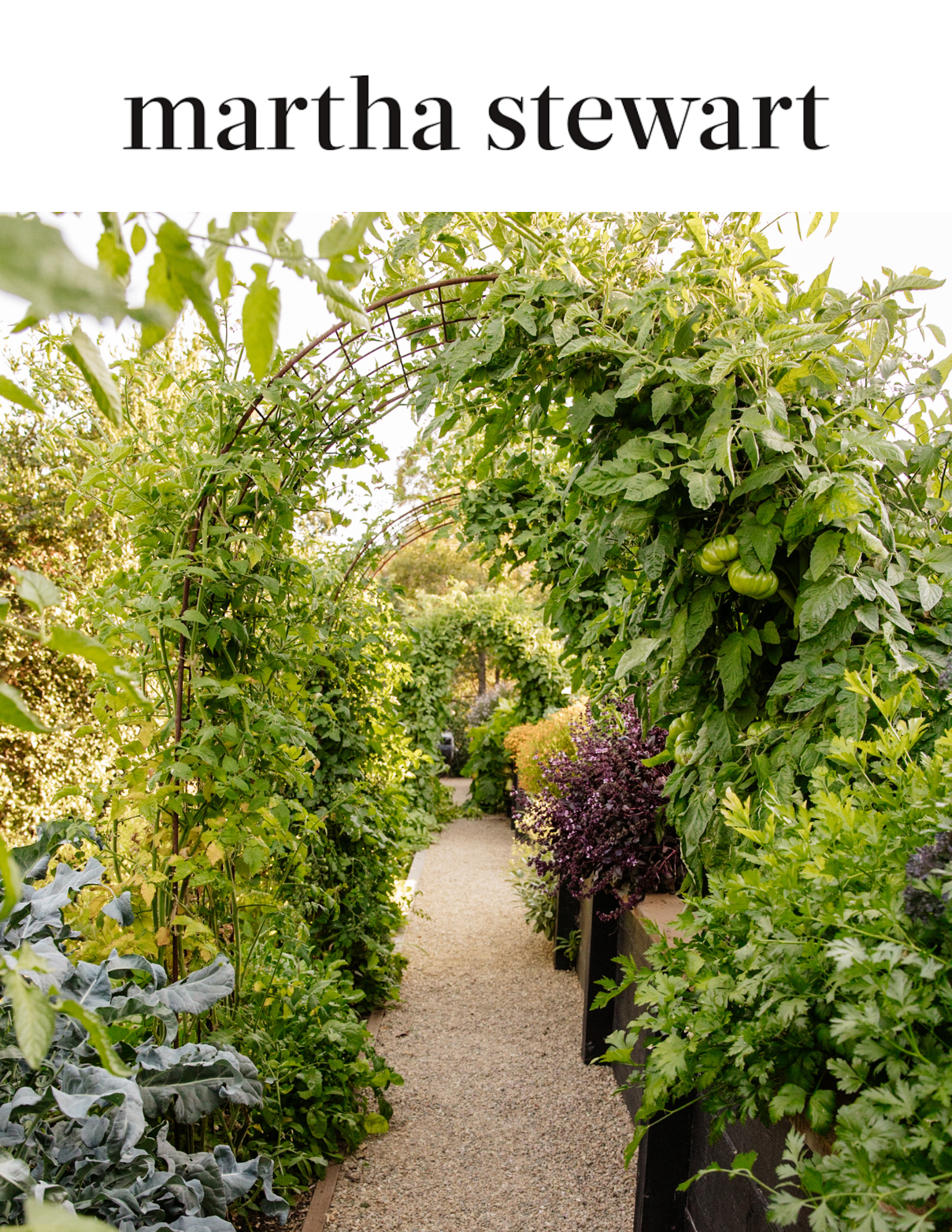 Martha Stewart  November 2024  "13 Elegant Garden Arch Ideas that Will Elevate Your Outdoor Space" 