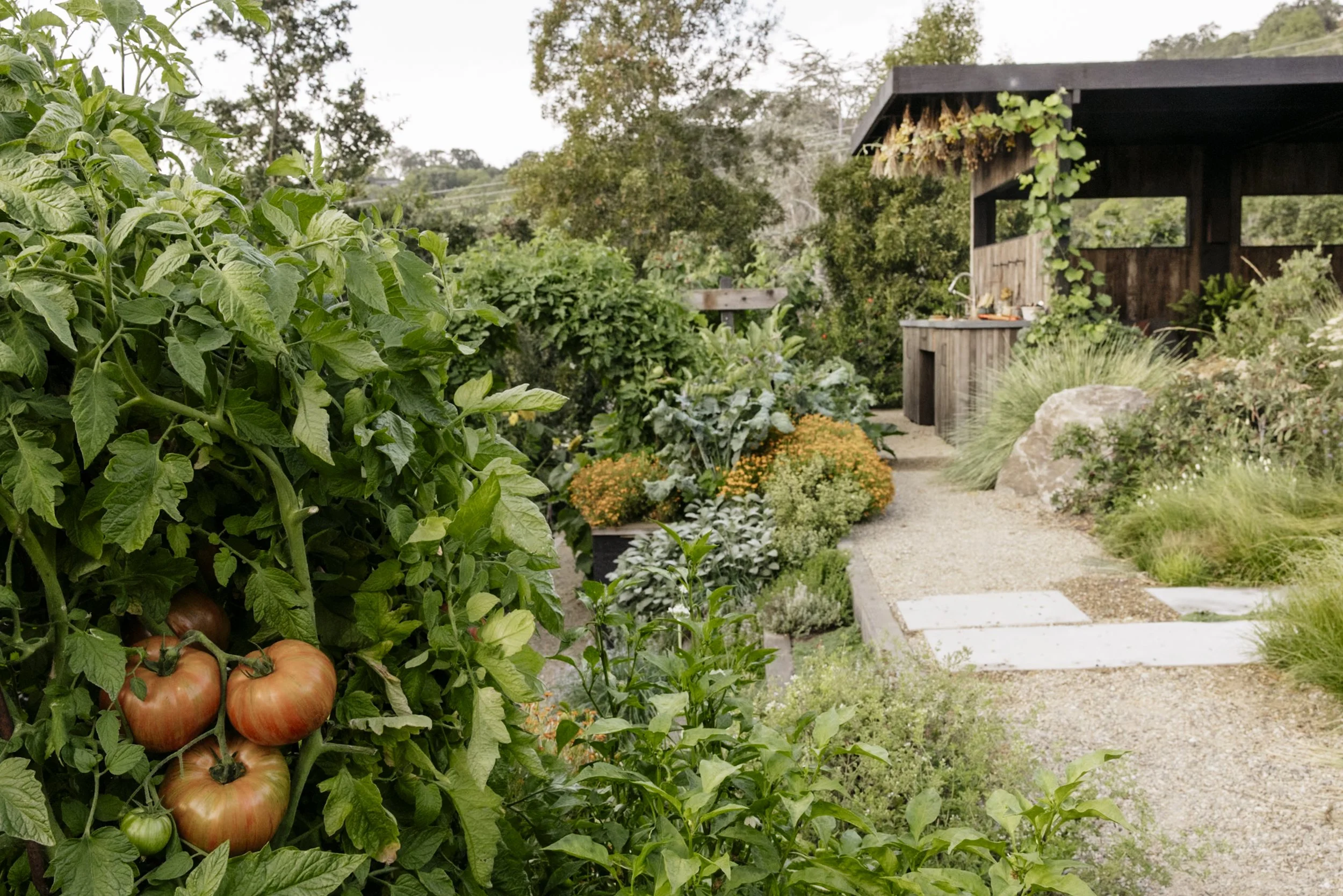 The  Food Garden of Christian Douglas in his San Rafael home 