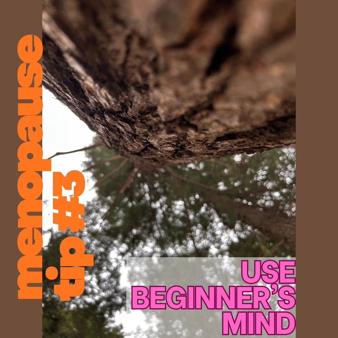 Ever look at a tree this way? Take a moment today to look at something that is familiar, in a different way. It might just shift your mindset from peri(menopausal) to curi(osity) for the moment :)

#menopause 
#perimenopause 
#psychotherapy 
#beginne