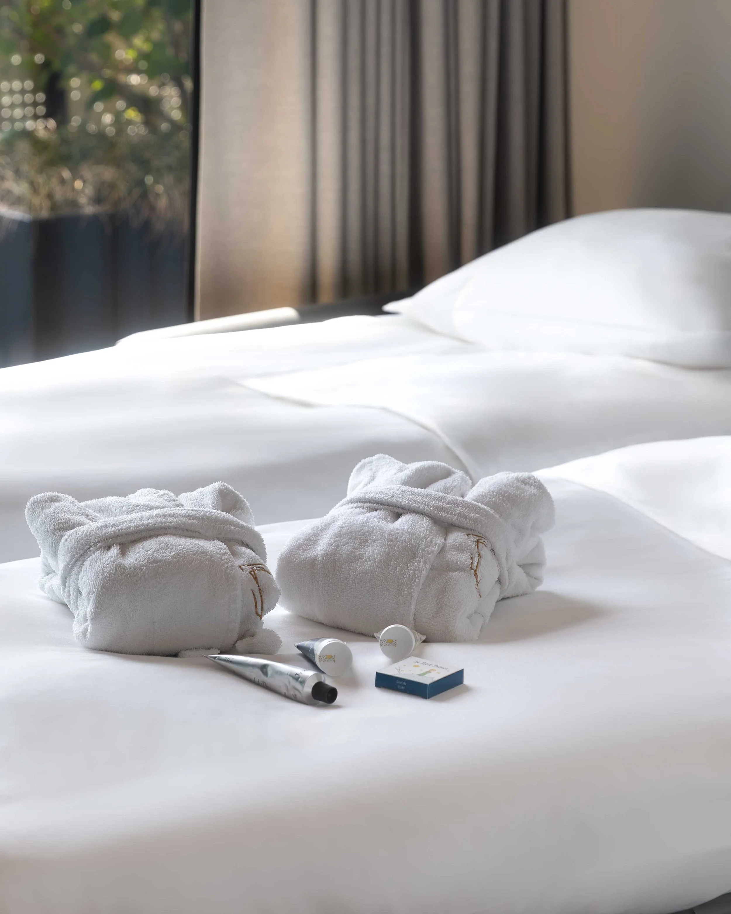 chambre avec des accessoires de bain à l'hôtel l'esquisse à colmar sur la route des vins