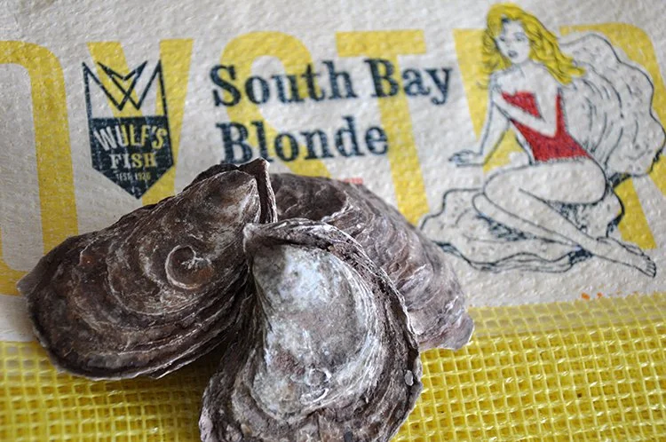 South Bay Blonde oysters_web.jpg