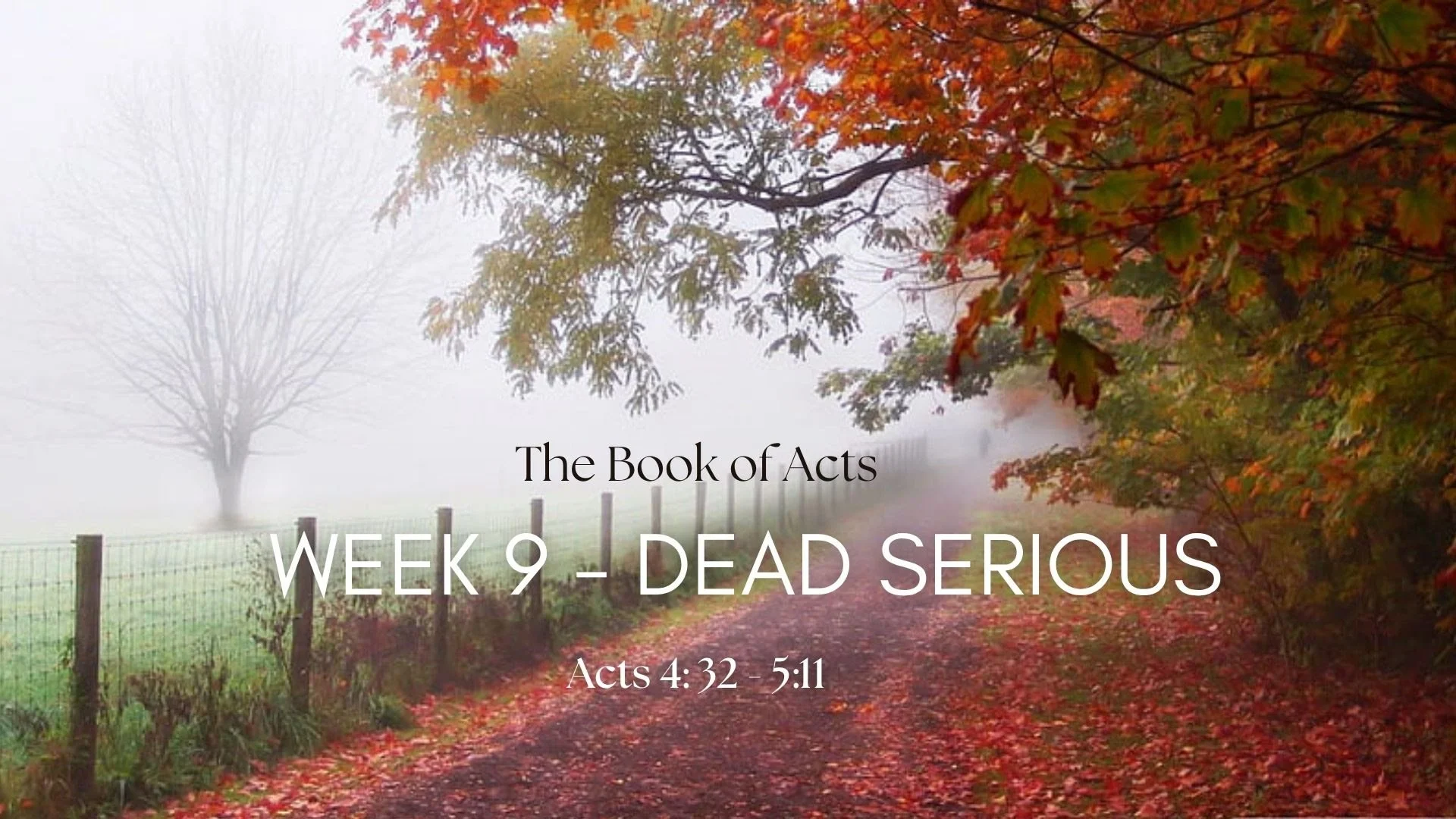 The Book of Acts: Acts 4:32-5:11