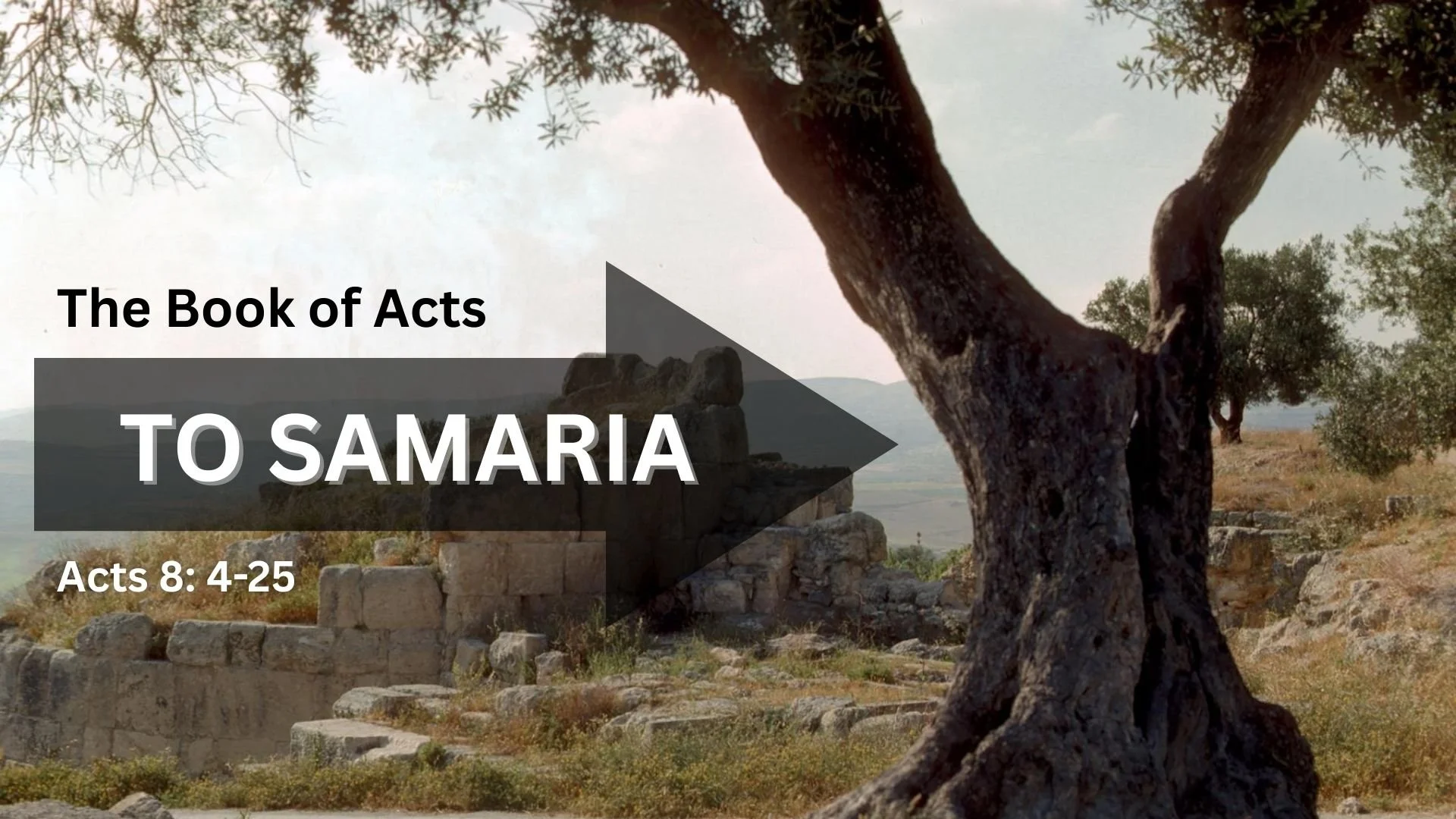 The Book of Acts: Acts 8:4-25