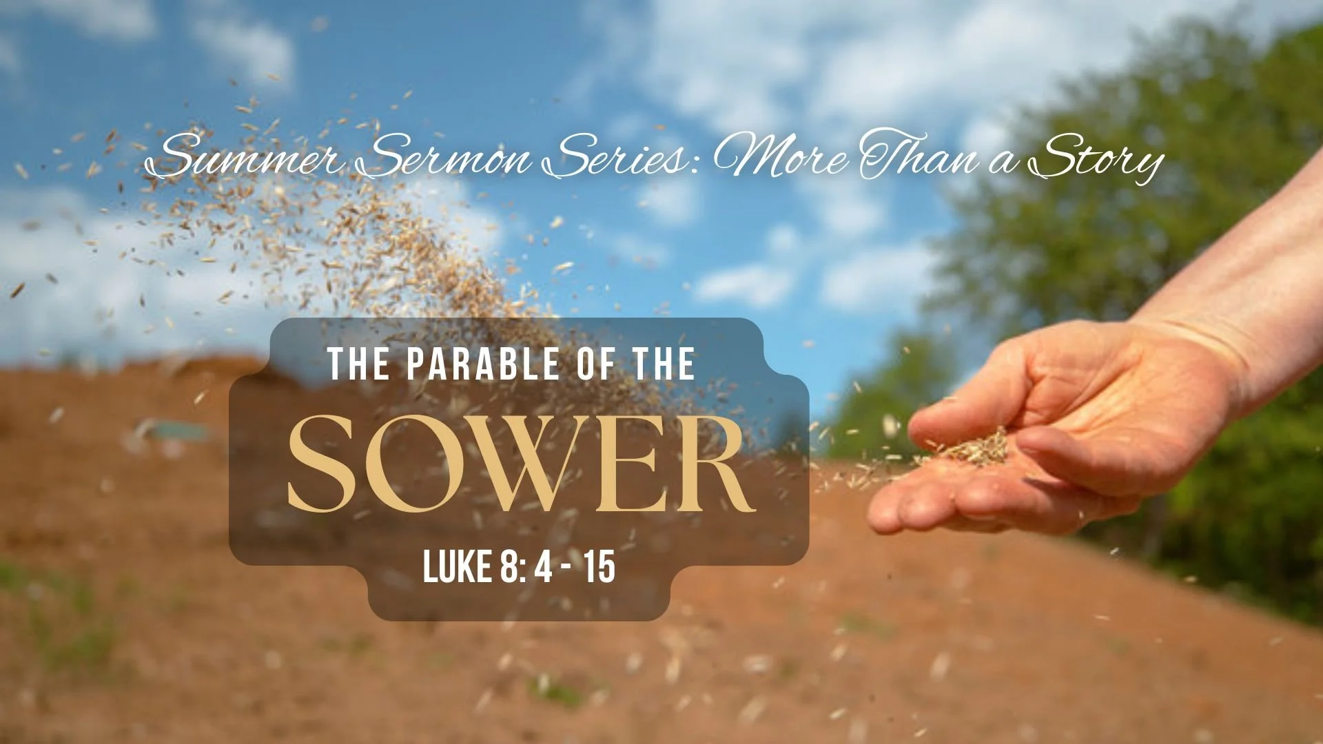 More Than a Story: The Parable of the Sower (Luke 8: 4-15)
