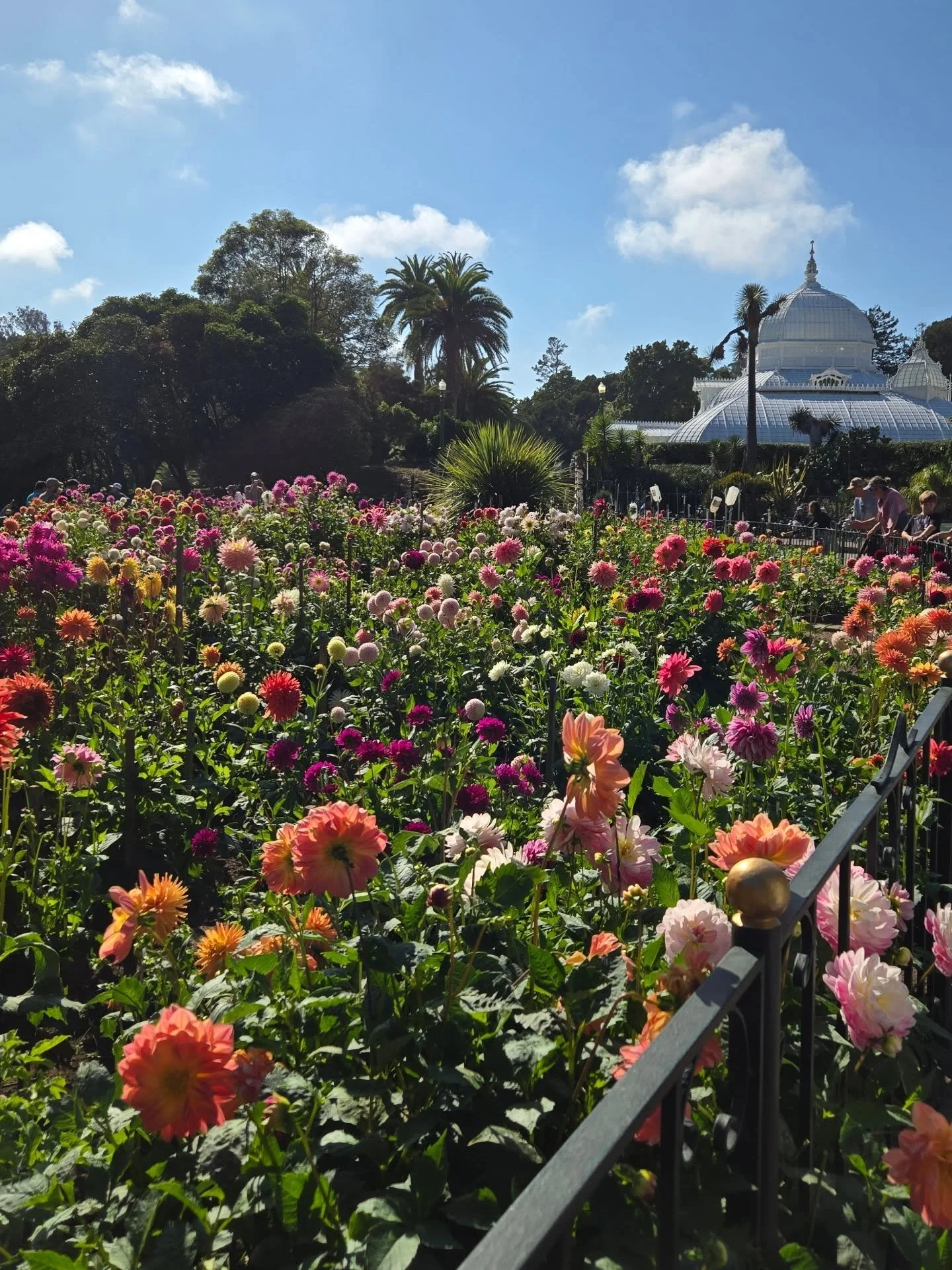 😍 Dahlias are so amazing! 💝 

💐 Yesterday was my annual visit to the Golden Gate Park dahlia garden. In honor of today's eclipse in the earth sign of Virgo; in honor of tomorrow's autumn equinox &amp; shift into Libra season; in honor of nature&rs