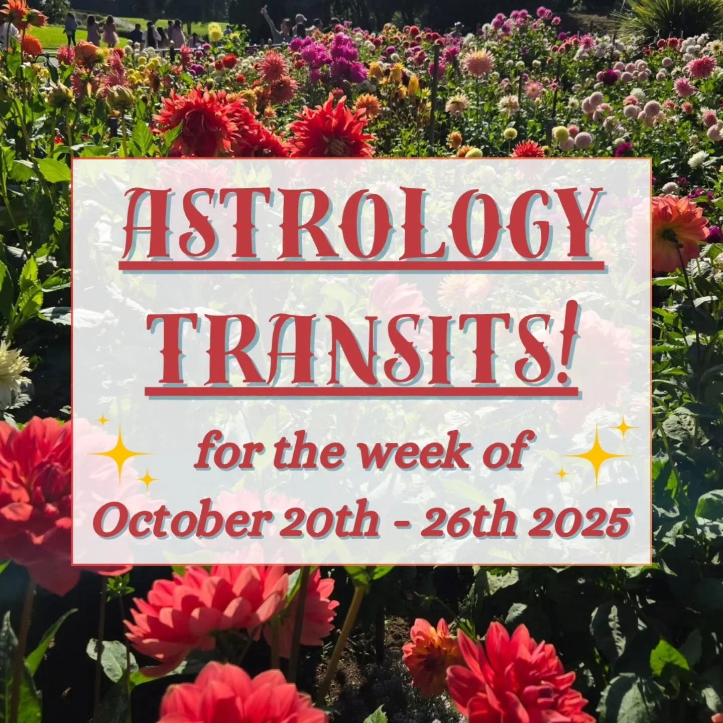 ♎️ From lovely Libra to secretive Scorpio - here are the astrology transits for October 20th-26th 2025! ♏️ 

🌚 We start the week with a new moon in the cardinal air sign of Libra, which is a perfect time to refresh ideas &amp; align beliefs. ⚖️ 

🌞
