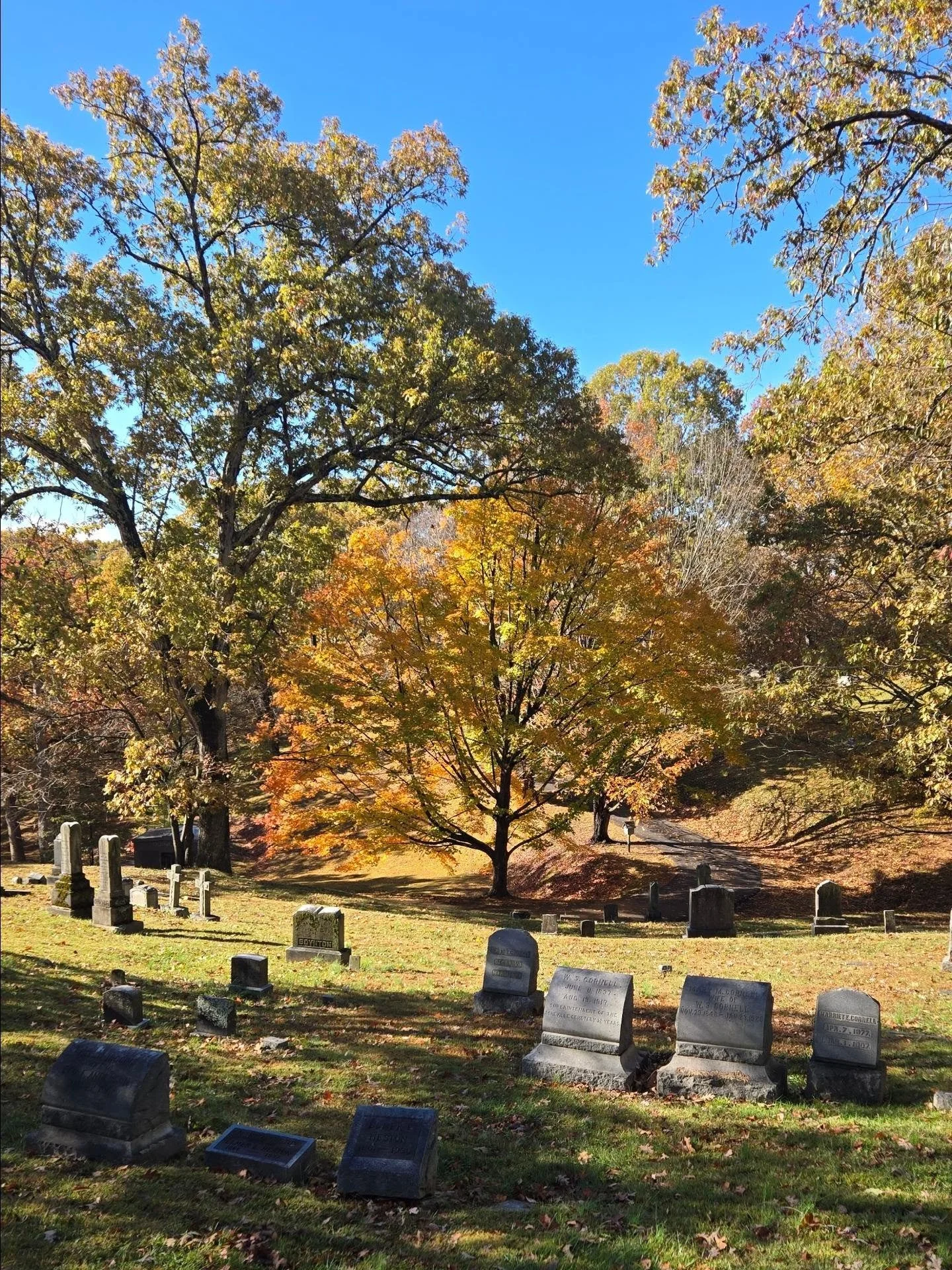 Happy Hallows Eve from Asheville NC! From the beautiful autumn foliage at the Riverside Cemetery to the spooky mysteries at the Grove Park Inn 🪦👻🎃💀🧙&zwj;♀️👽🧟&zwj;♀️🧚🧛🦇🍂✨️

#hallowseve #halloween #cemetery #graveyard #autumn #groveparkinn
