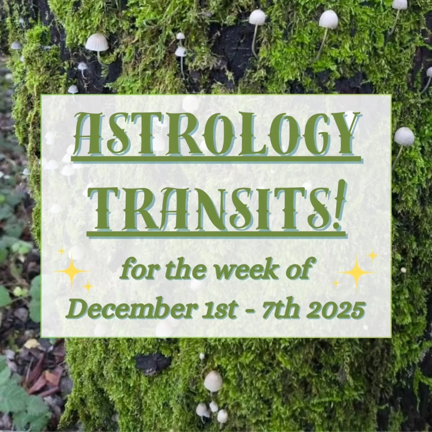 🌝 Happy full moon! Here are the astrology transits for December 1st-7th 2025. 🏹 

💘 This week is full of pleasant transits, starting with a Venus sextile to Pluto on Tuesday, deepening our relationships &amp; art practices. 🌟 

♊️ Thursday brings