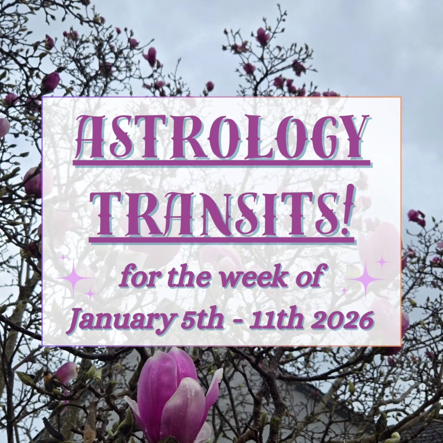 🥳 Weekly transit posts are BACK! Welcome to the first full week of 2026! 🌌 

♑️ This week features a pileup in hardworking Capricorn, with the Sun, Venus &amp; Mars all conjunct in the sign of the sea-goat. 🐐🧜 

♋️ Then, these Capricorn planets w