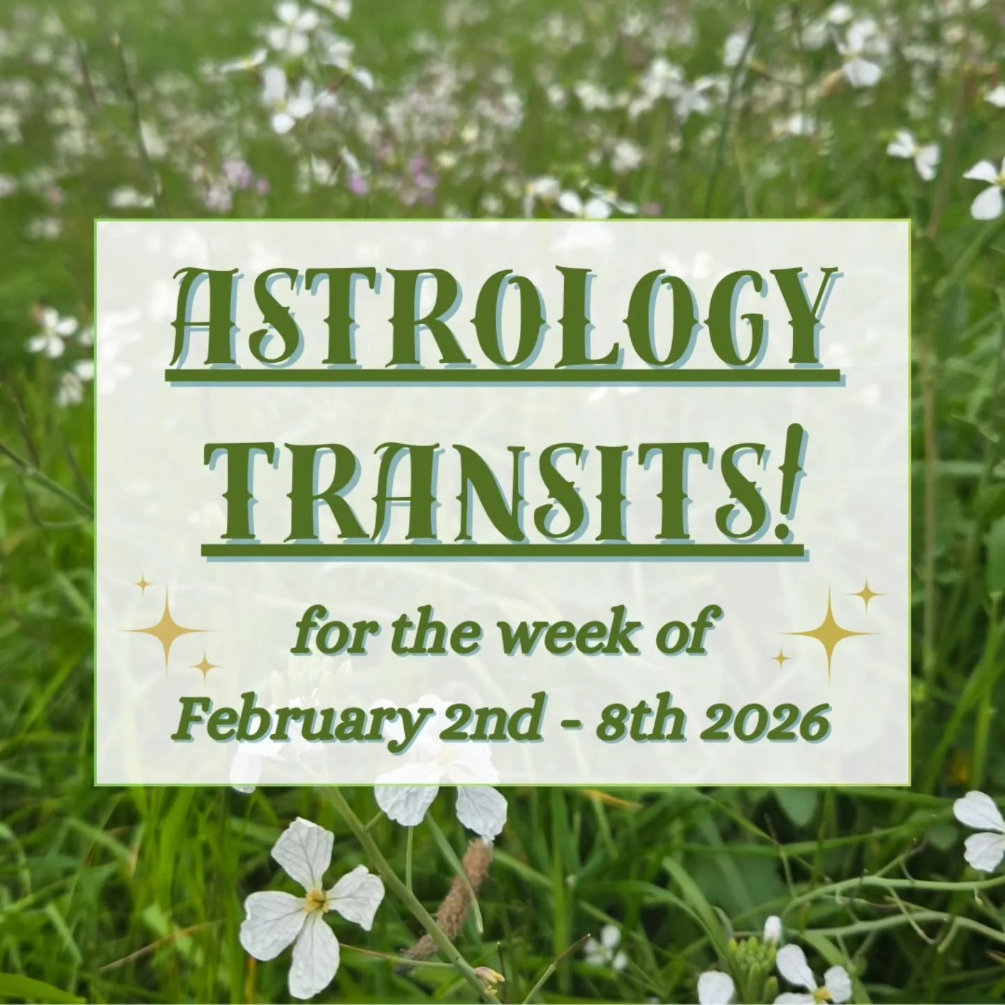 🐢 Better late than never! This weekend's full moon had me super busy, but here are the transits for February 2nd - 8th 2026. 🫡 

🌟 Mercury and Venus both sextile Chiron this week, touching our tender spots and stimulating healing in our minds, voi