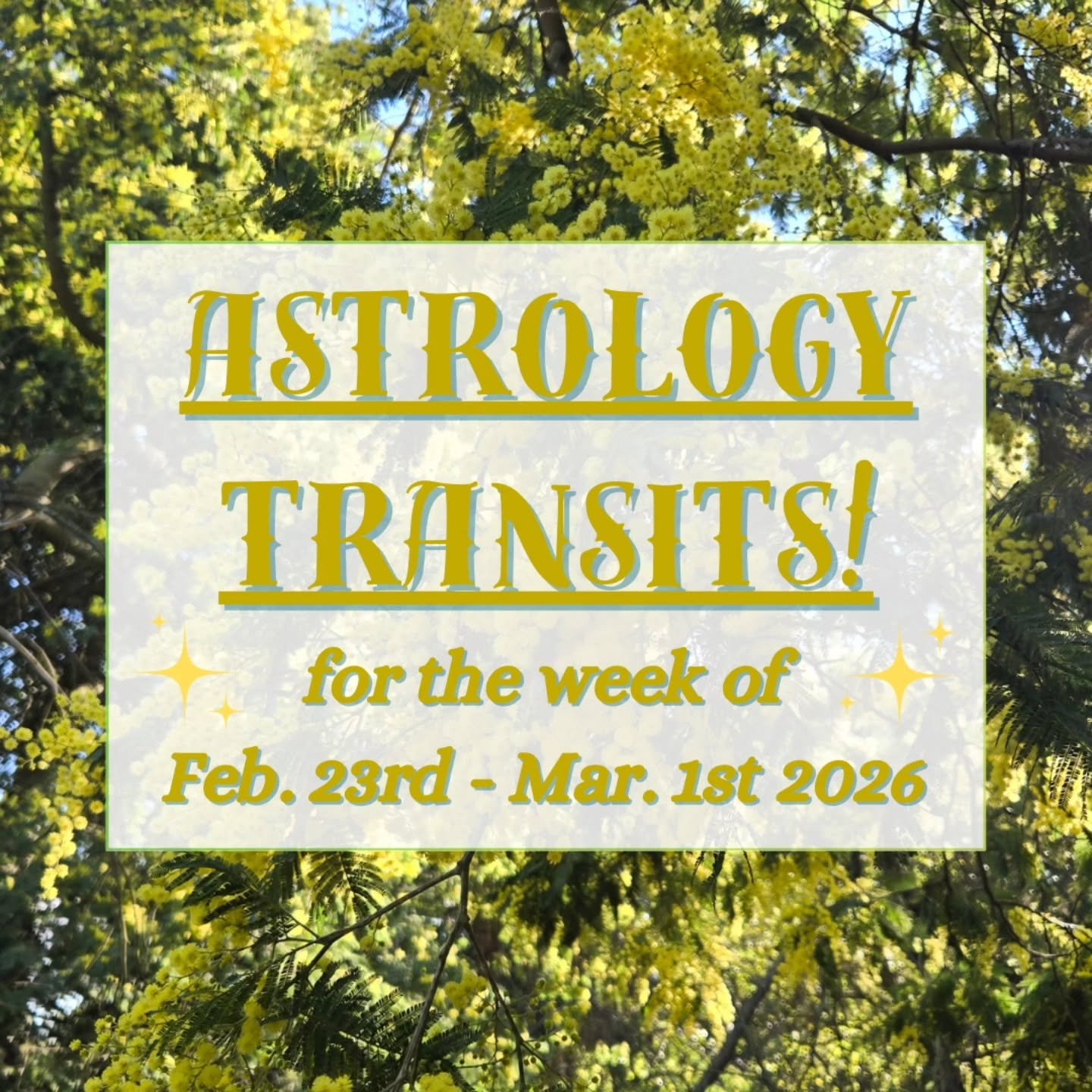 🫢 Get ready for Mercury retrograde! Here are the astrology transits for February 23rd to March 1st 2026. 💞 

♓️ Mercury makes a U-turn in Pisces on Wednesday evening, and its retrograde will last through the end of Pisces season. Remember to slow d