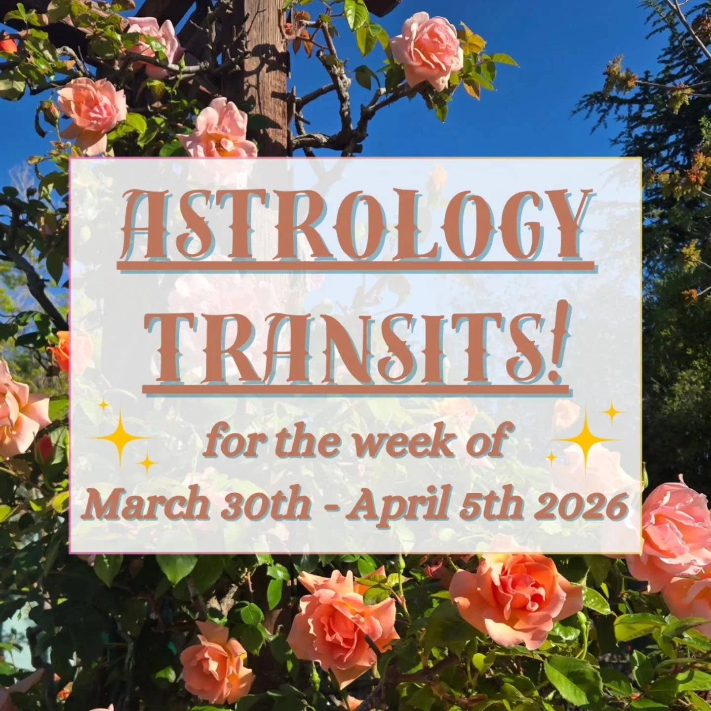 🌹 This Venusian week is all about RELATIONSHIPS! Here are the transits for March 30th - April 5th 2026 💘 

🐂 We start off with Venus entering its earthy home sign of Taurus on Monday 💚 

🌝 Wednesday's highlight is a recalibrating full moon in Ve