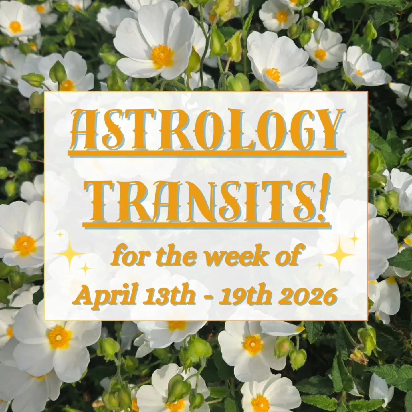 🎢 Buckle up for another wild week in the stars! This pileup of Aries planets is asking us to be brave &amp; bold. We've definitely got challenges on the horizon, but also opportunity &amp; potential! ❤️&zwj;🔥 

Change is in the air, with a refreshi