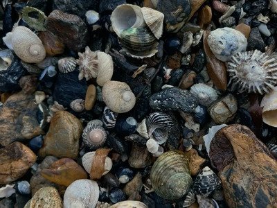 Midmarket Leaders, Your Pain Points Are Telling You Something&nbsp;