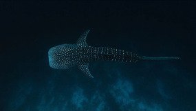 It Is Time to Get Ruthless About Your Product Priorities&nbsp;