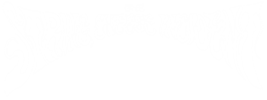 Text in stylized, wavy font that reads 'The Spring House Minnesota'.