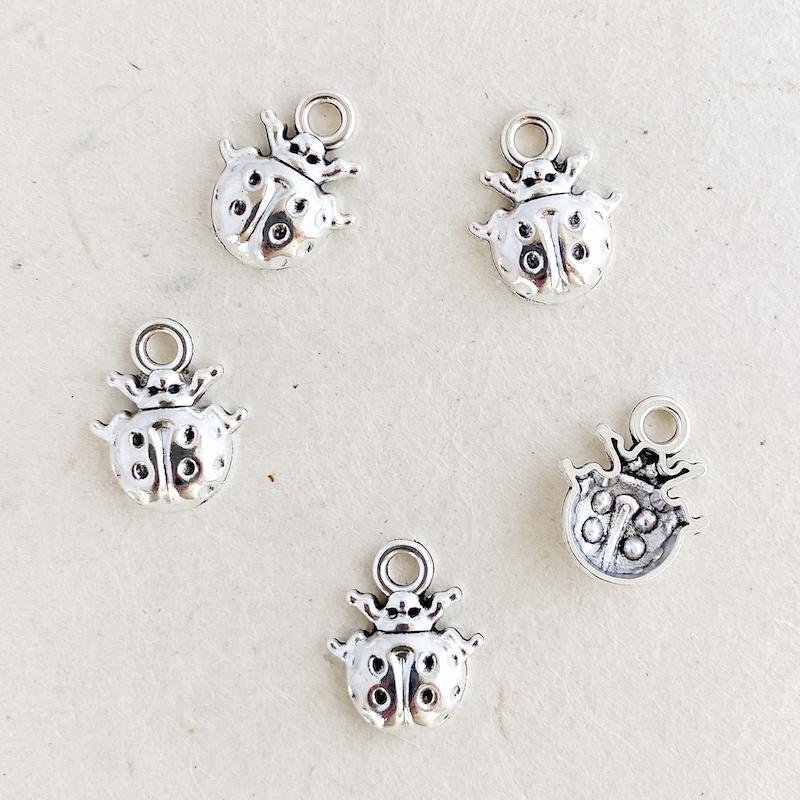 WEBSITE-LADYBUGCHARMAS800_a07a855e-af52-4a5d-aa18-7c21fa003f0d.jpg