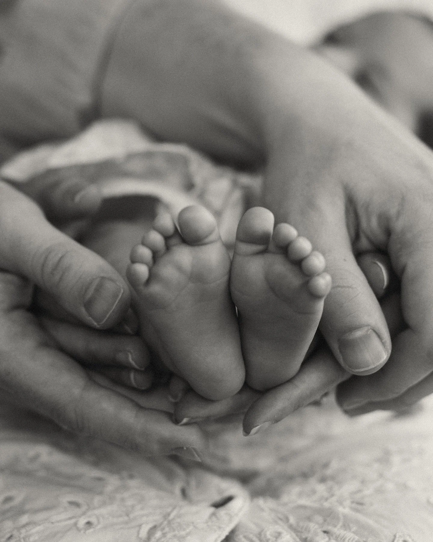 Precious little details 🫶🏻

#londonmums #londonmumsnetwork #newbornphotography #newbornphotographer #londonnewbornphotographer #londonfamilyphotographer #londonfamilyphotography