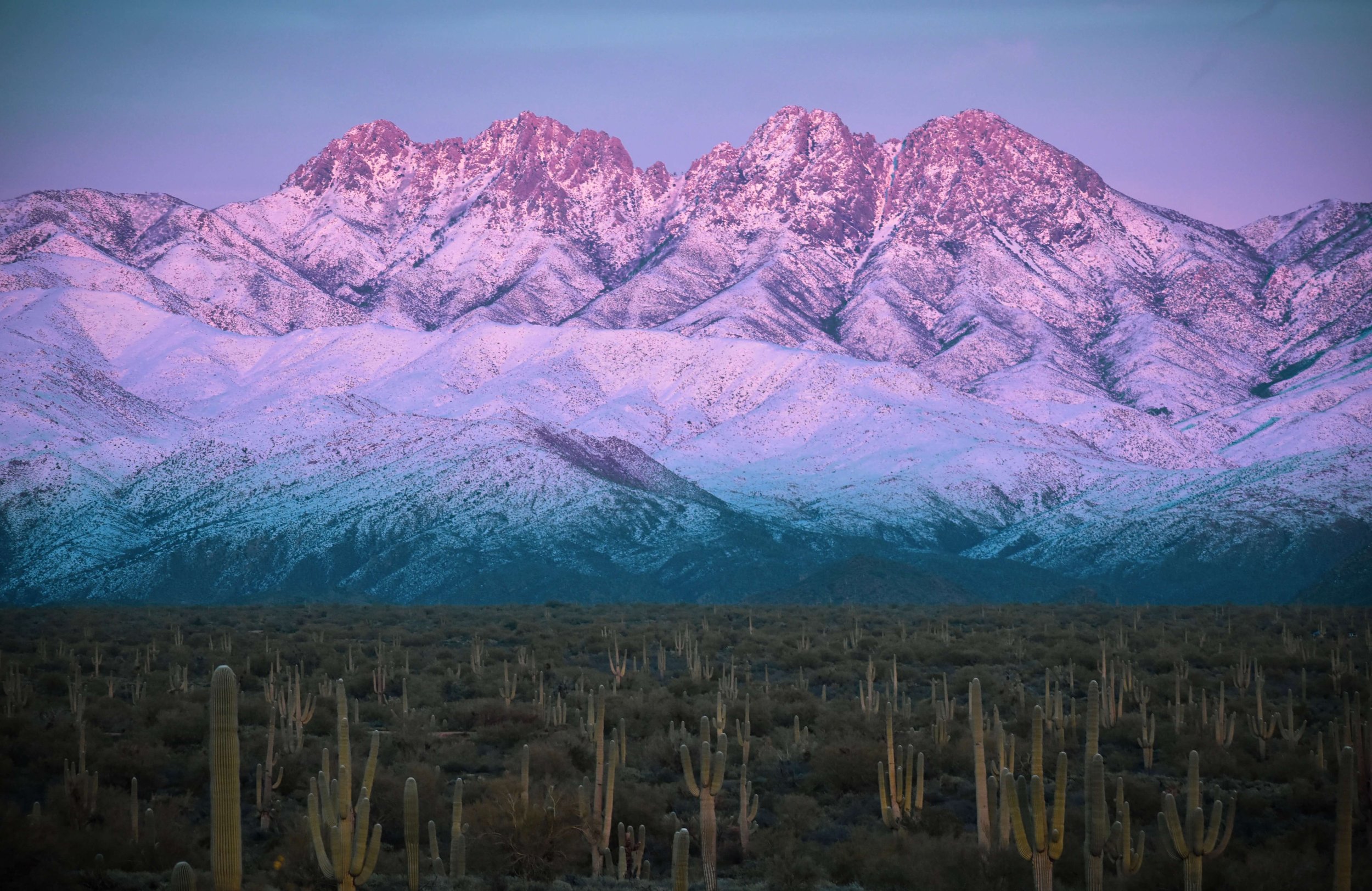 Purple sunset sky light shines on the Four Peaks mountains covered in snow after a desert snowstorm, Arizona, USA, 4 peaks, desert, saguaro cactus, cacti, desertscape, Beeline Highways, US Highway 89 AZ, American southwest.