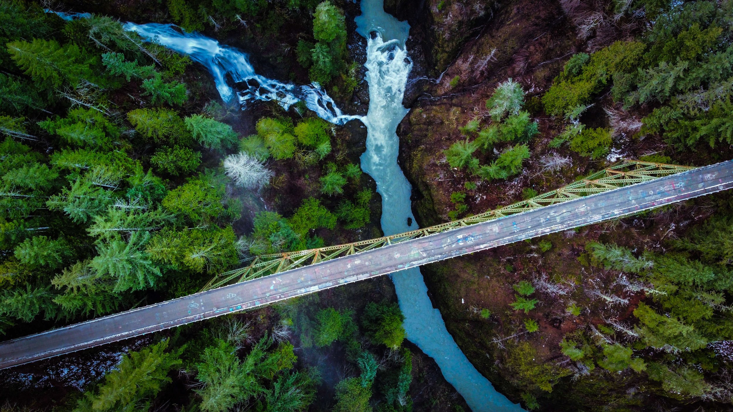 a drone photograph taken from the air of a bridge over a glacial blue winding river, an green evergreen forest in Washington state, Pacific Northwest, USA, high steel bridge, Skokomish River.