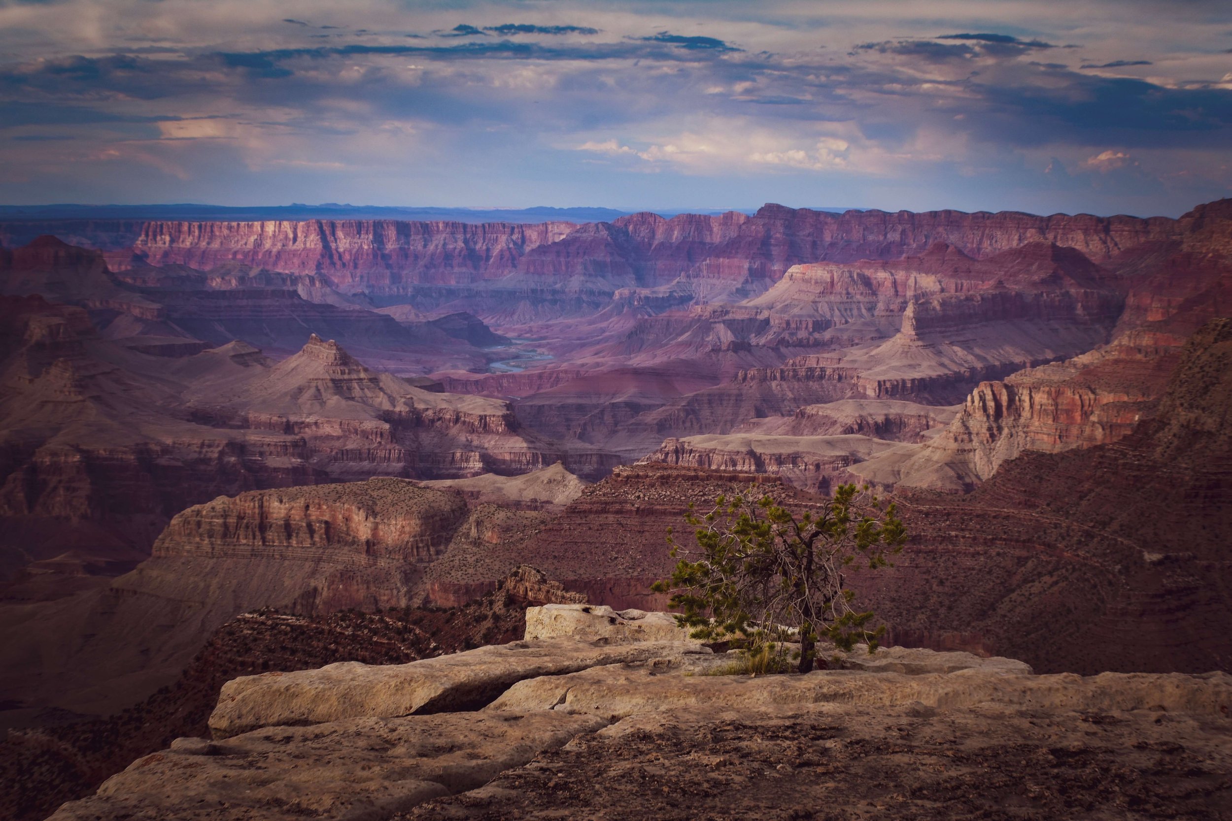 Sunset golden hour, a lone tree on the south rim of the Grand Canyon National Park, Arizona, USA, clouds, natural wonders of the world, northern Arizona, American southwest, Colorado Plateau, canyon layers.