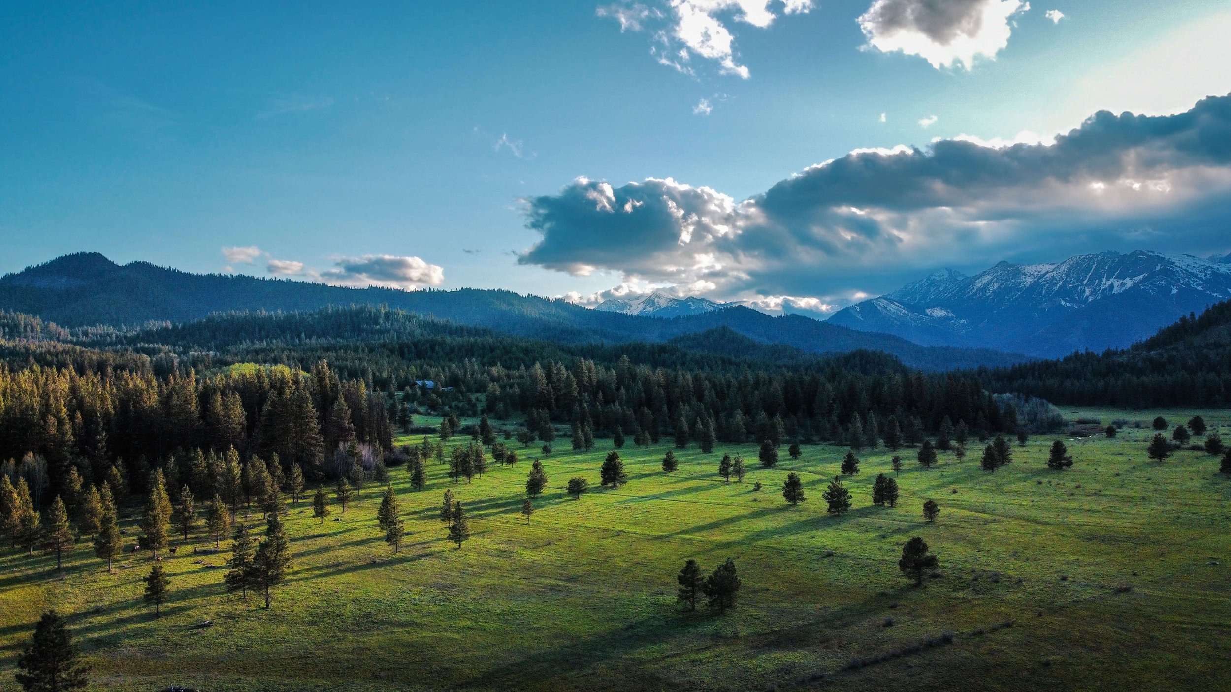 Drone photograph of a green, blue meadow at sunset, Washington State, USA, Pacific Northwest, Leavenworth, Cabins, remote mountain wilderness, golden hour, blue skies.