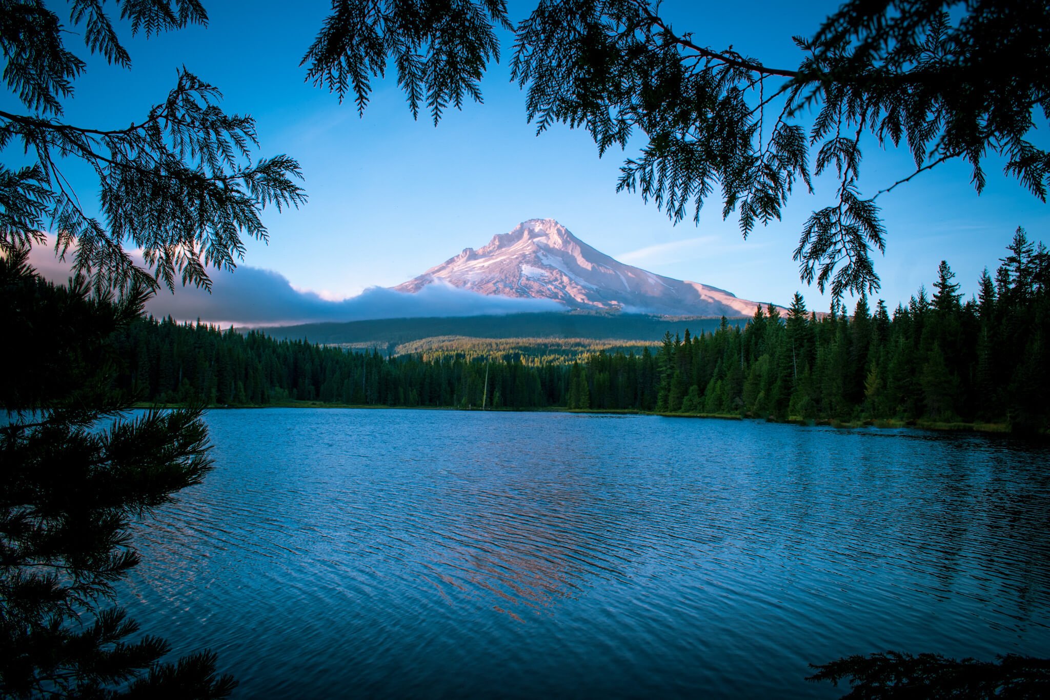 A blue lake in front of Mount Hood in Oregon surrounded by green pine forest at sunset.