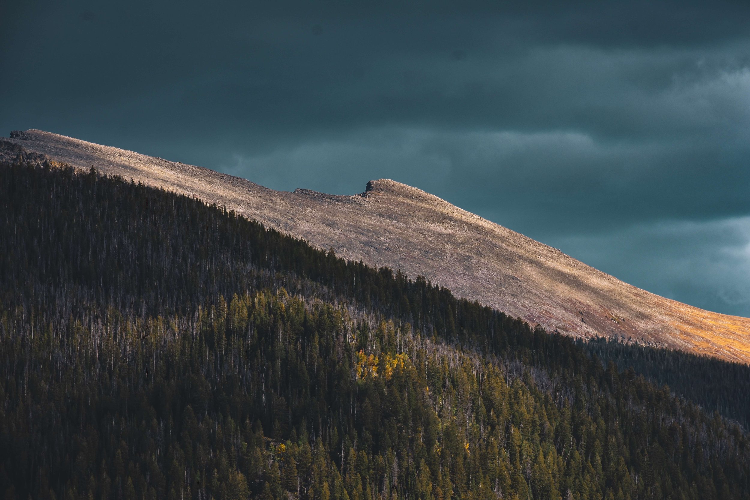 Shadowed mountain top and pine trees within a forest in Colorado, USA, Lone Eagle Peak, Indian Peaks Wilderness, Rocky Mountains, hiking, USA, Rockies, backpacking, stormy, moody vibes.