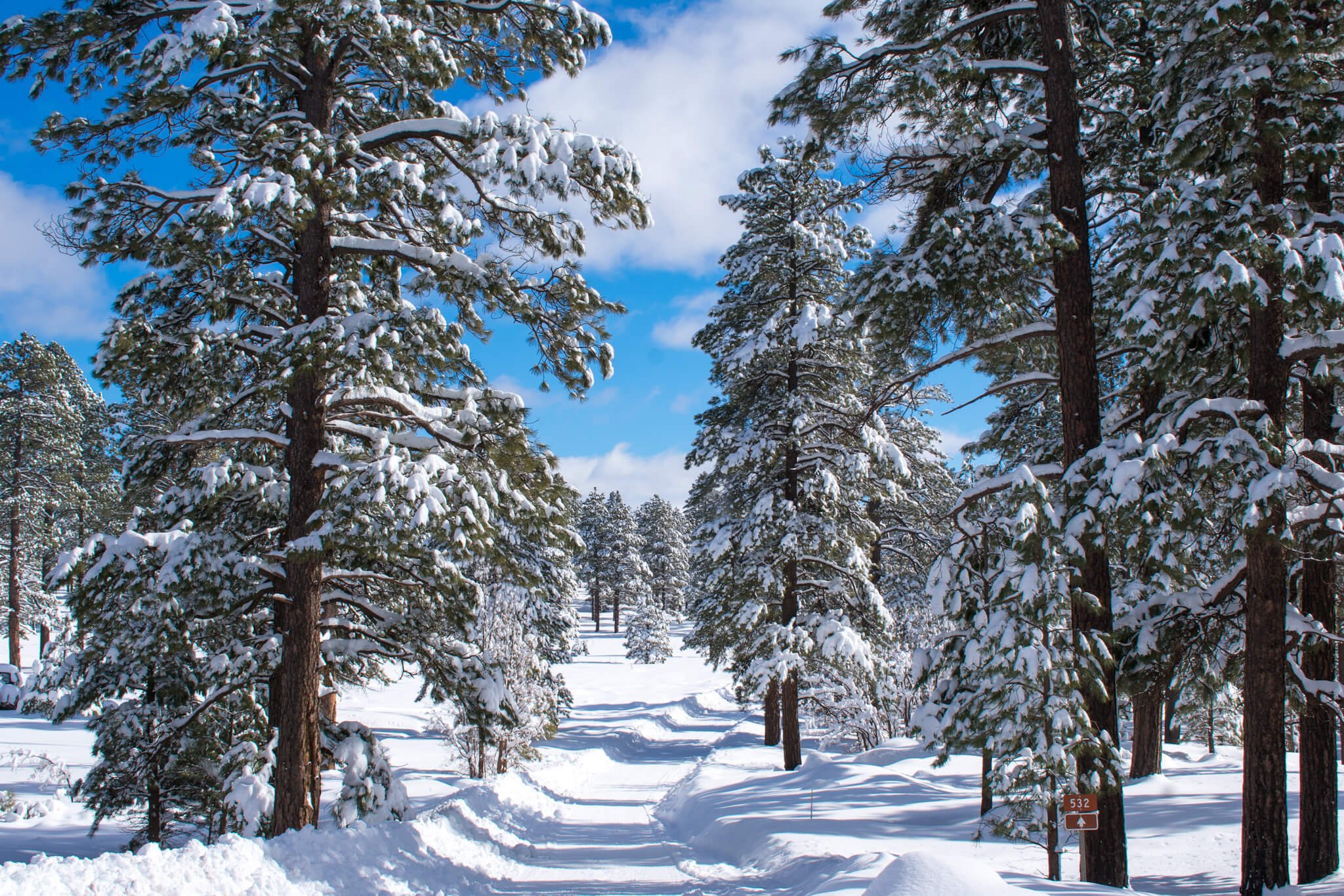 A fresh winter snowfall covers the Arizona Ponderosa pines on the backroads, road 532, in Flagstaff, Arizona, USA, northern Arizona, Edge of the World, blue skies, blue sky, snowscape, off road, off roading.