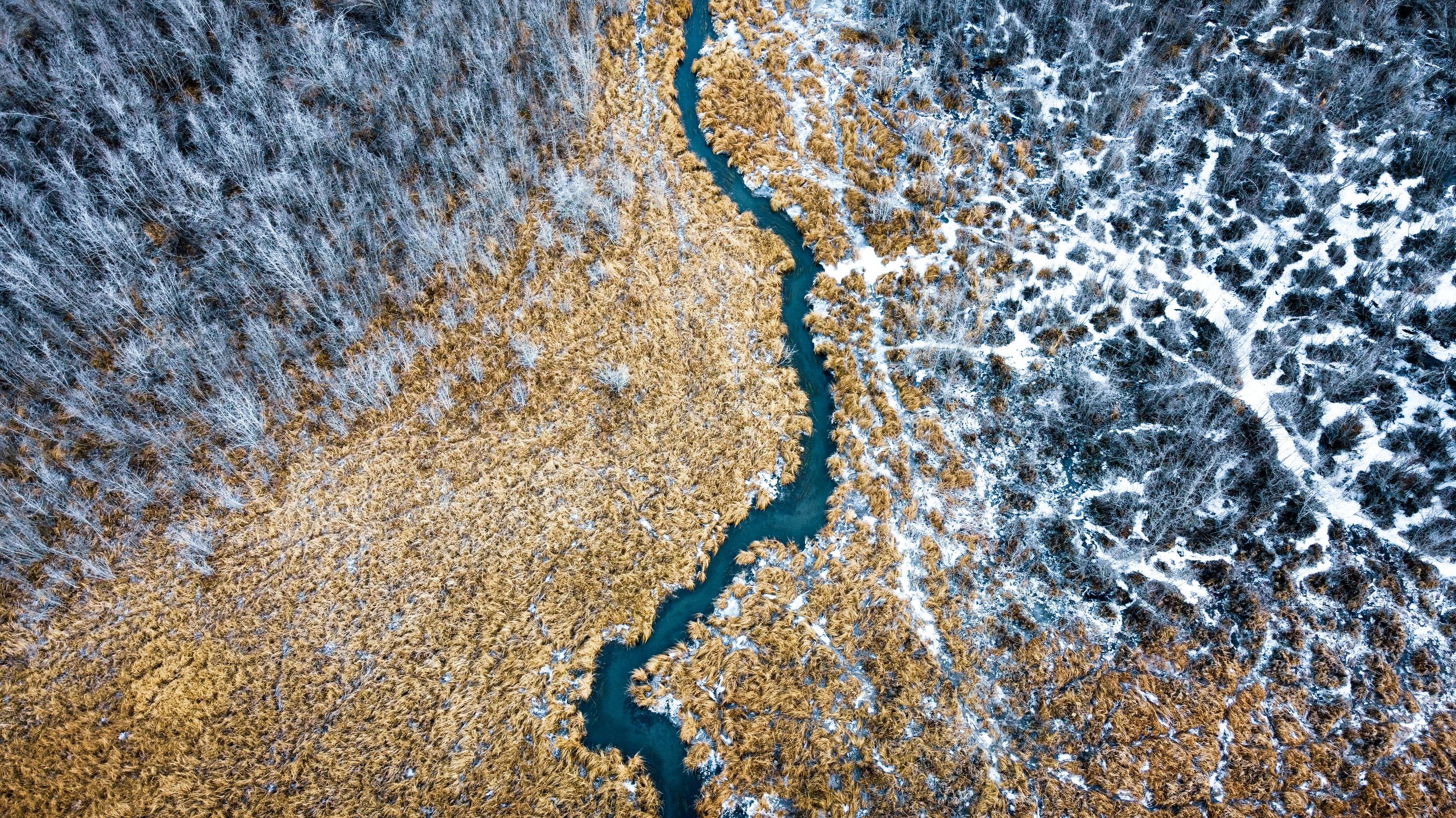 a drone photograph taken from the air of a frozen glacial blue winding river cutting through a frozen meadow in the remote Alaska wilderness, frozen pines, Alaksa, USA.