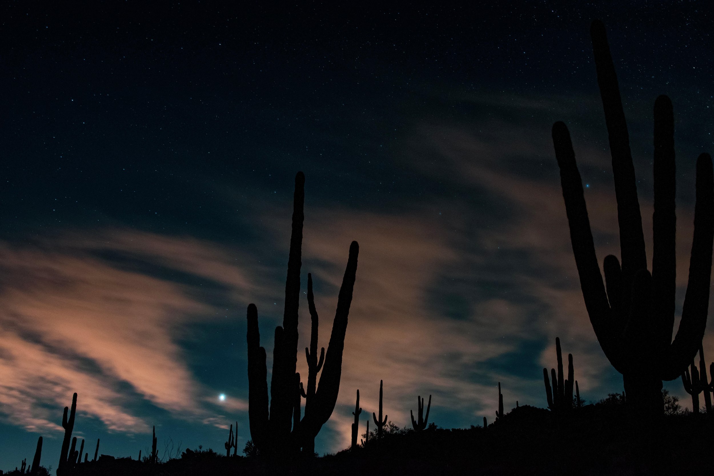 Starry night desert landscape of the Superstition mountains, saguaro cactus, cacti, silhouettes, Gold Canyon, Apache Junction, Arizona, USA, desert, desertscape, hiking, Flat Iron hiking trail, astrophotography, American southwest.