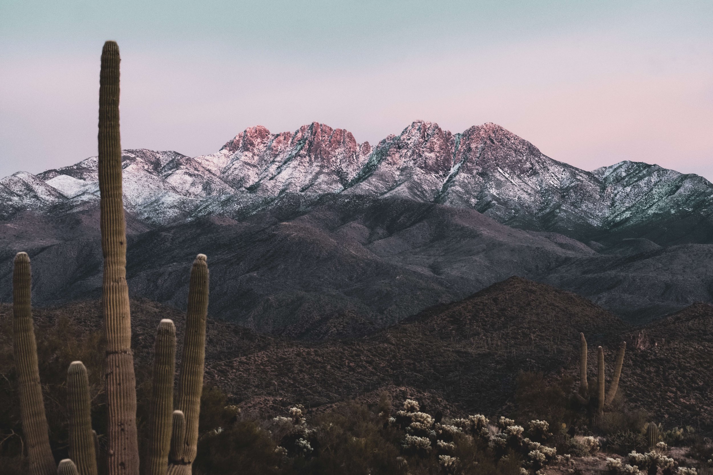 Sunset on the Four Peaks mountains covered in snow after a desert snowstorm, Arizona, USA, 4 peaks, desert, saguaro cactus, cholla cactus, cacti, desertscape, Beeline Highways, US Highway 89 AZ, American Southwest.