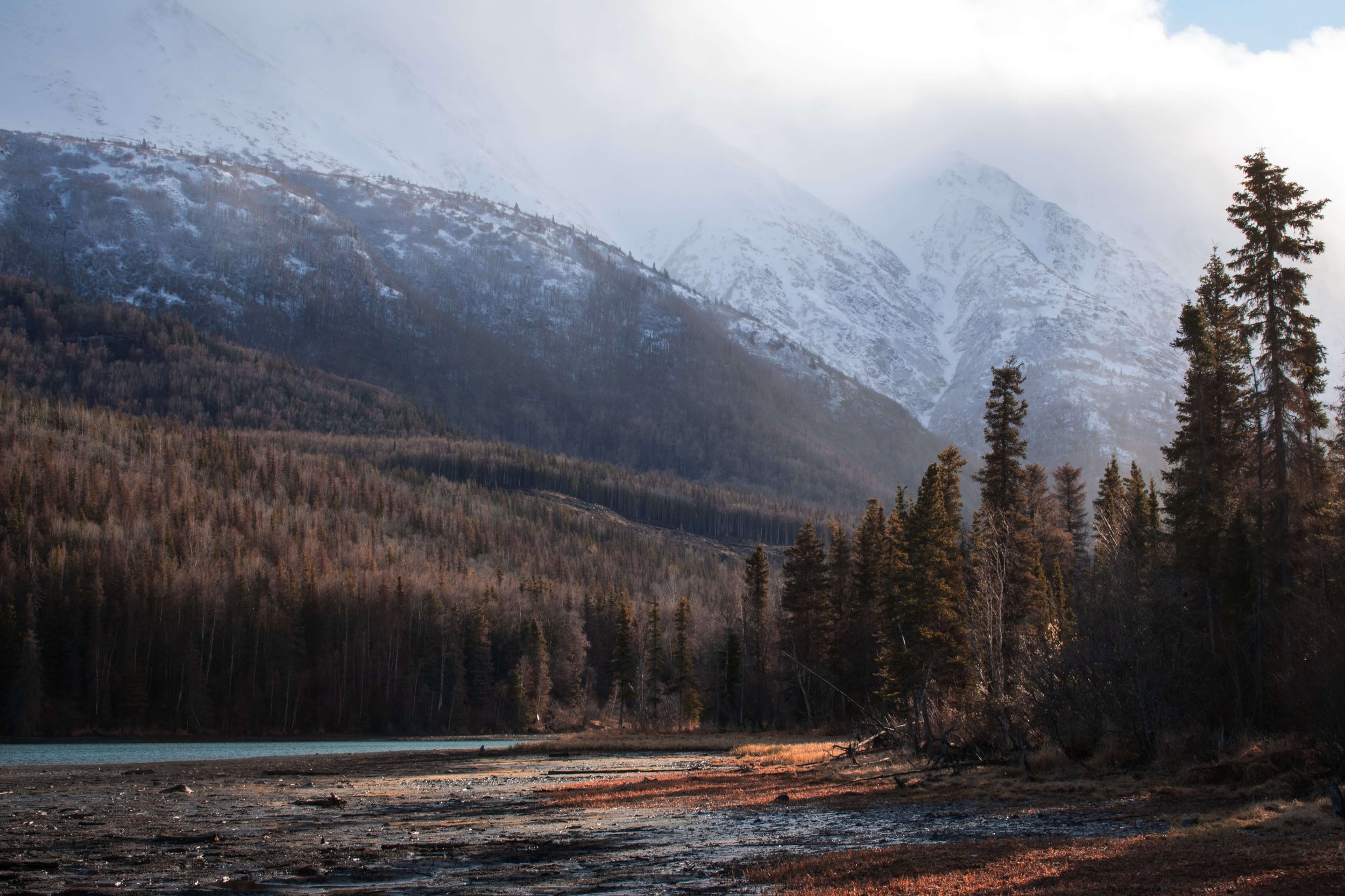 sunrise at the edge of a river, remote Alaskan wilderness, Alaska, USA, Air Bnb, Airbnb cabin, forest, snow capped mountains, forest.