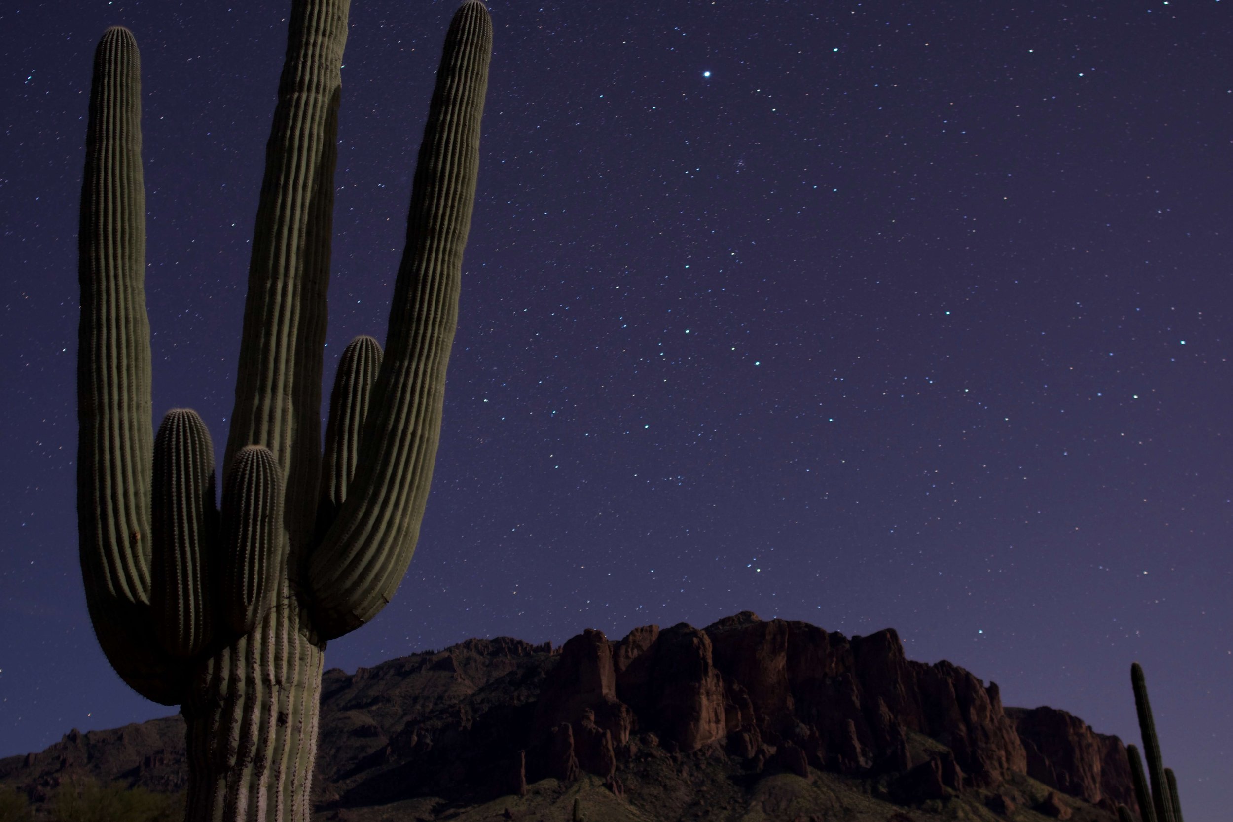 Starry night desert landscape of the Superstition mountains, saguaro cactus, Gold Canyon, Apache Junction, Arizona, USA, desert, desertscape, hiking, Flat Iron hiking trail, astrophotography, American southwest.