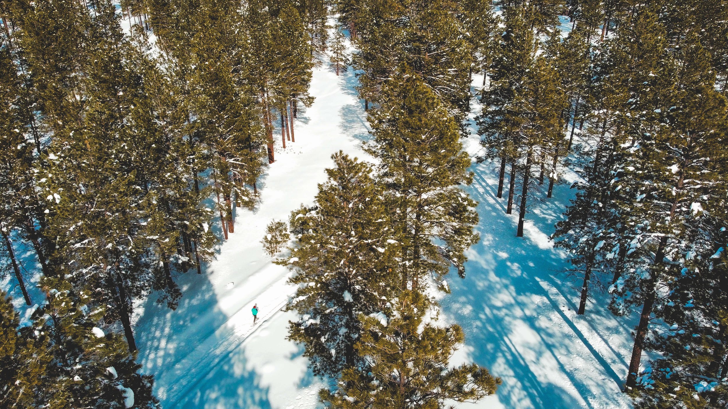 Drone image of a lone hiker as he snowshoes in Flagstaff, Arizona, USA, winter hiking, snow fall, snowshoeing, winter backpacking, Drone photography, frozen pines, northern Arizona, winter, snow shoeing, winter trail, remote wilderness, ponderosa pin