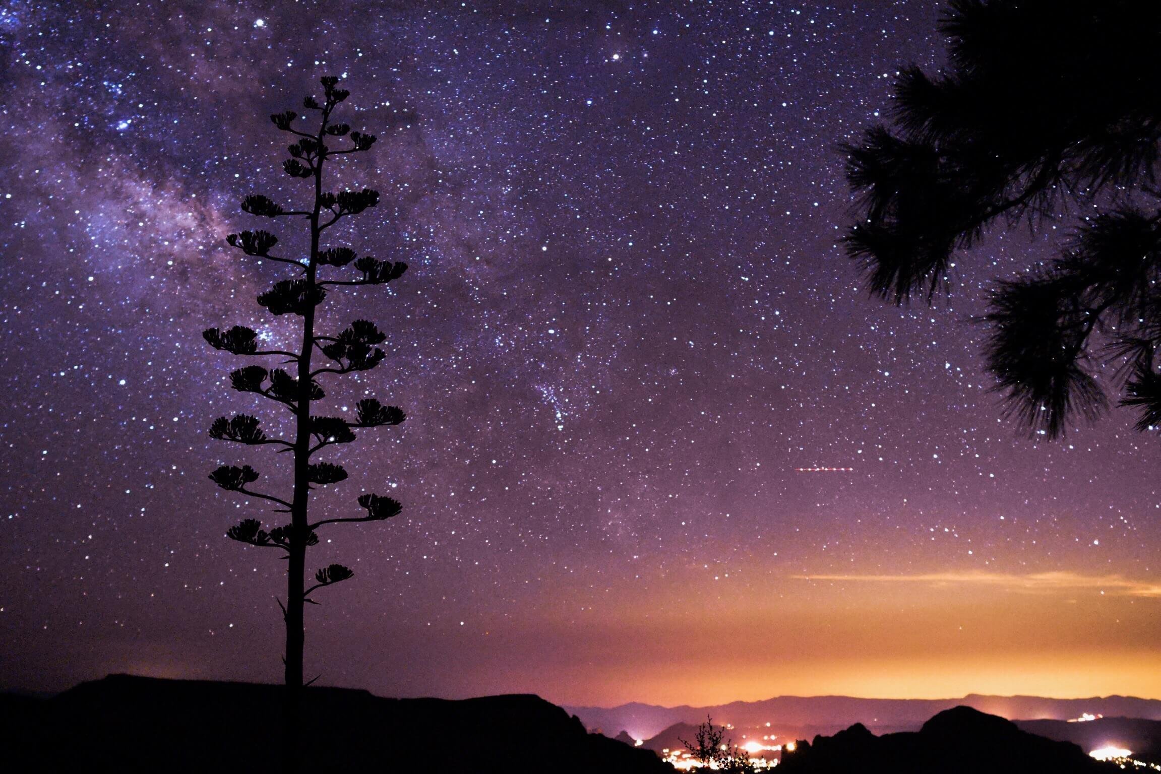 The silhouette of an Arizona century plant rises in front of the milky way, the city glow of Sedona is illuminated in the background, agave, agave bloom, starry desert night, astrophotography, northern Arizona, camping, canyon, Edge of the World, Fla