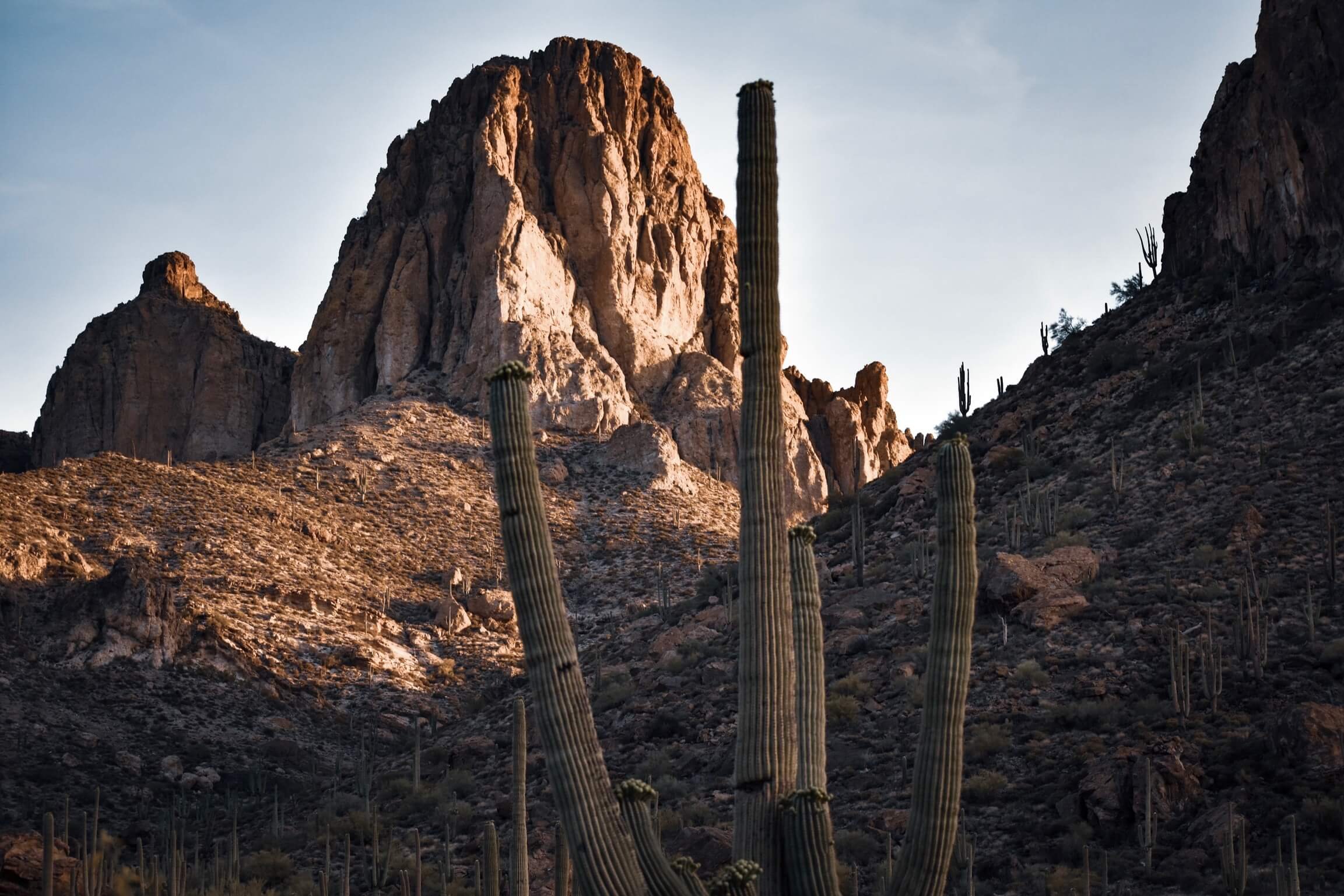 Sunrise illuminates a cliff face in the Superstition mountains of Arizona, USA, a large desert Saguaro cactus rises in the foreground, Apache Trail, Gold Canyon, Apache Junction, desert, saguaro cactus, cacti, desertscape, American Southwest.