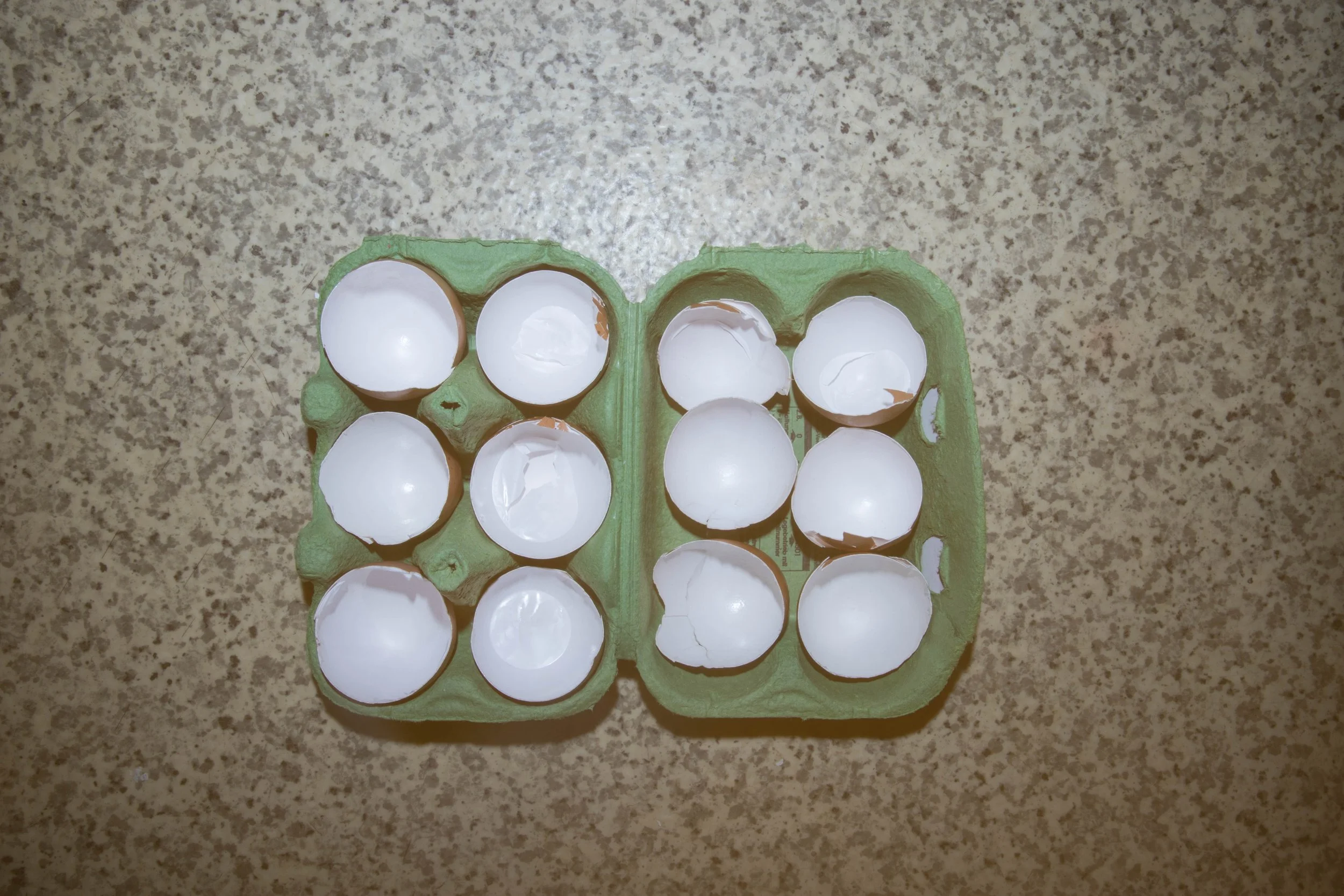 Murphy_Eggs_Two.jpg