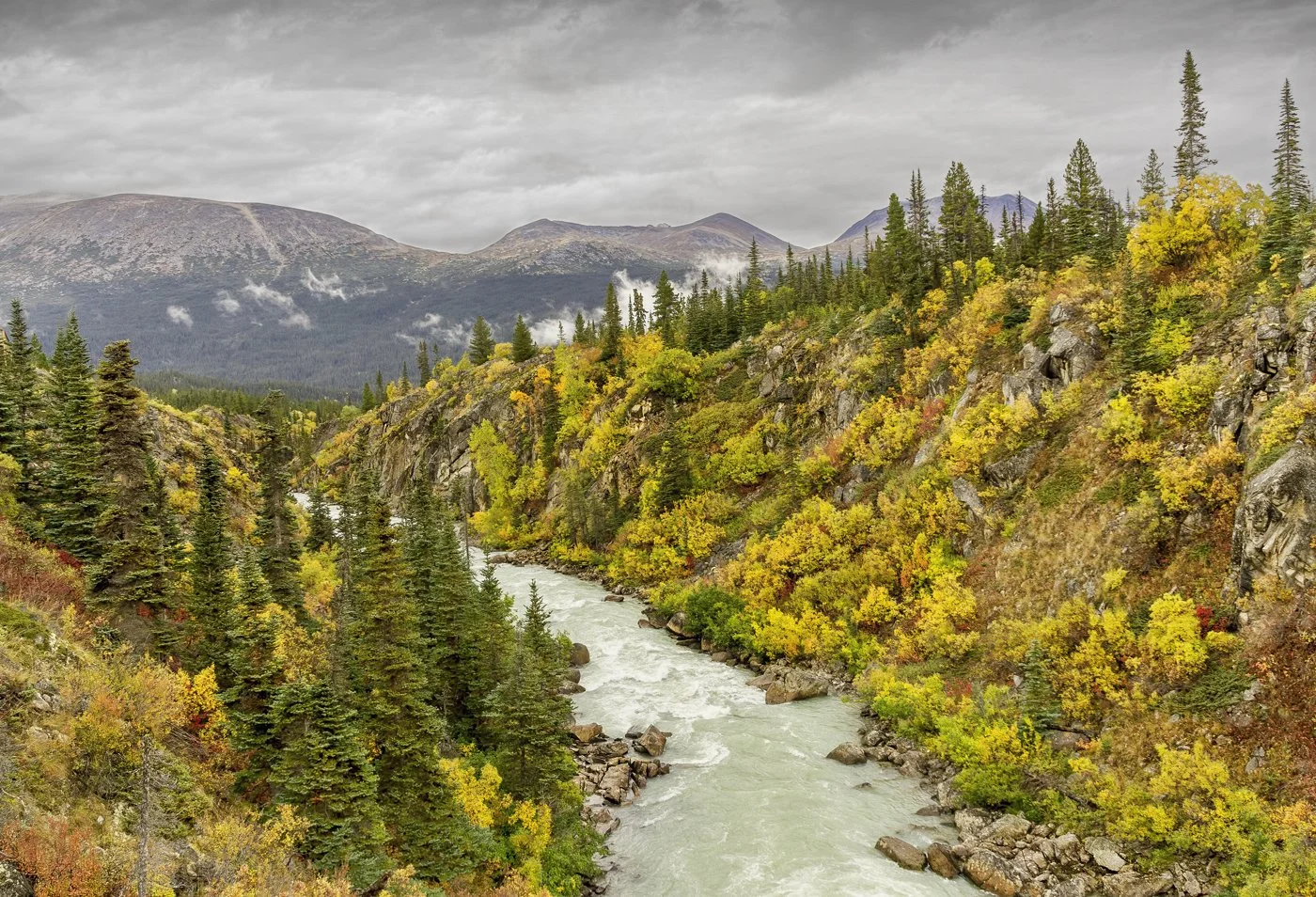 Early Autumn in Tutshi River Canyon, BC, Canada
