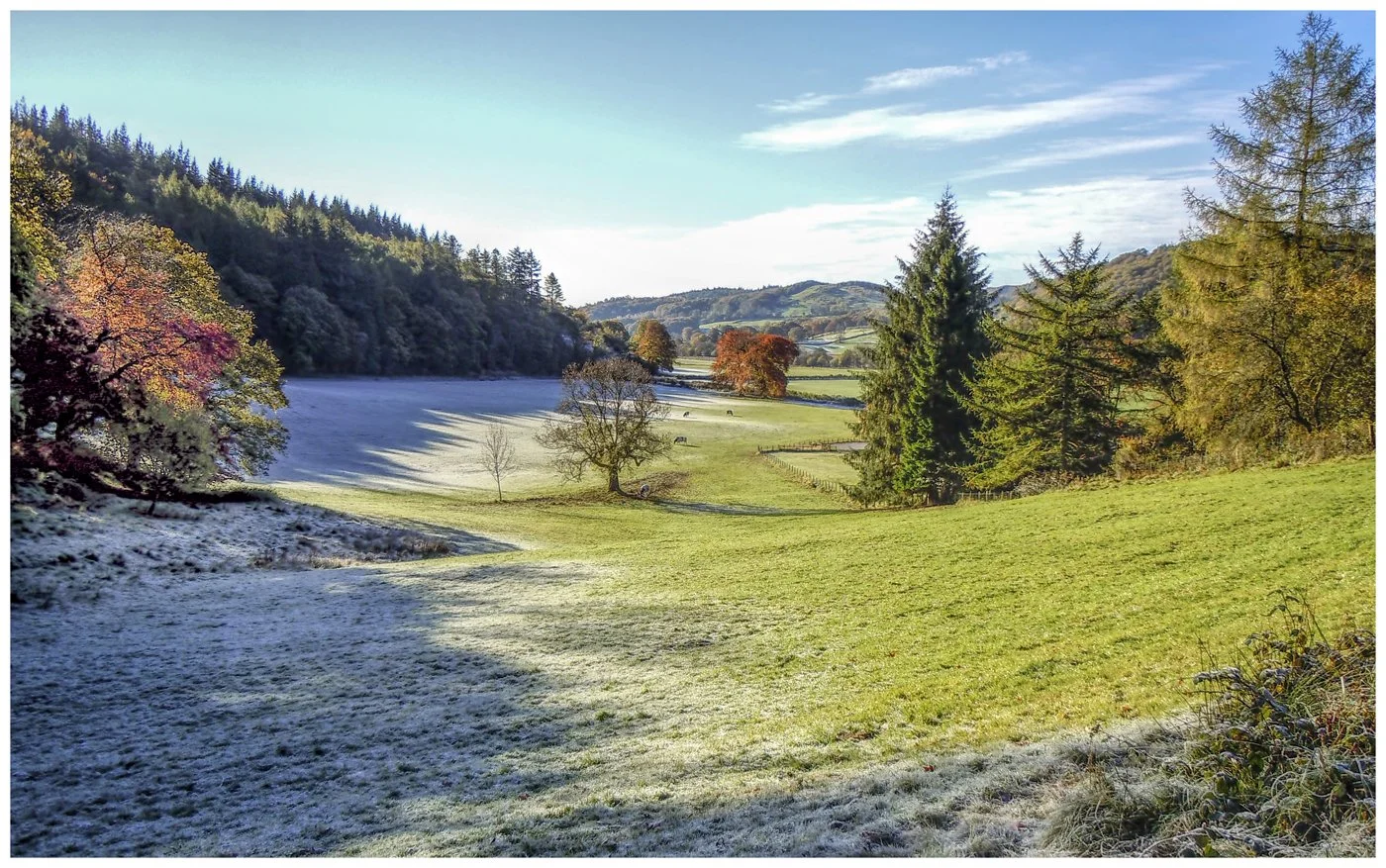 Early Morning Autumnal frost, Grizdale Forest, Lake District.