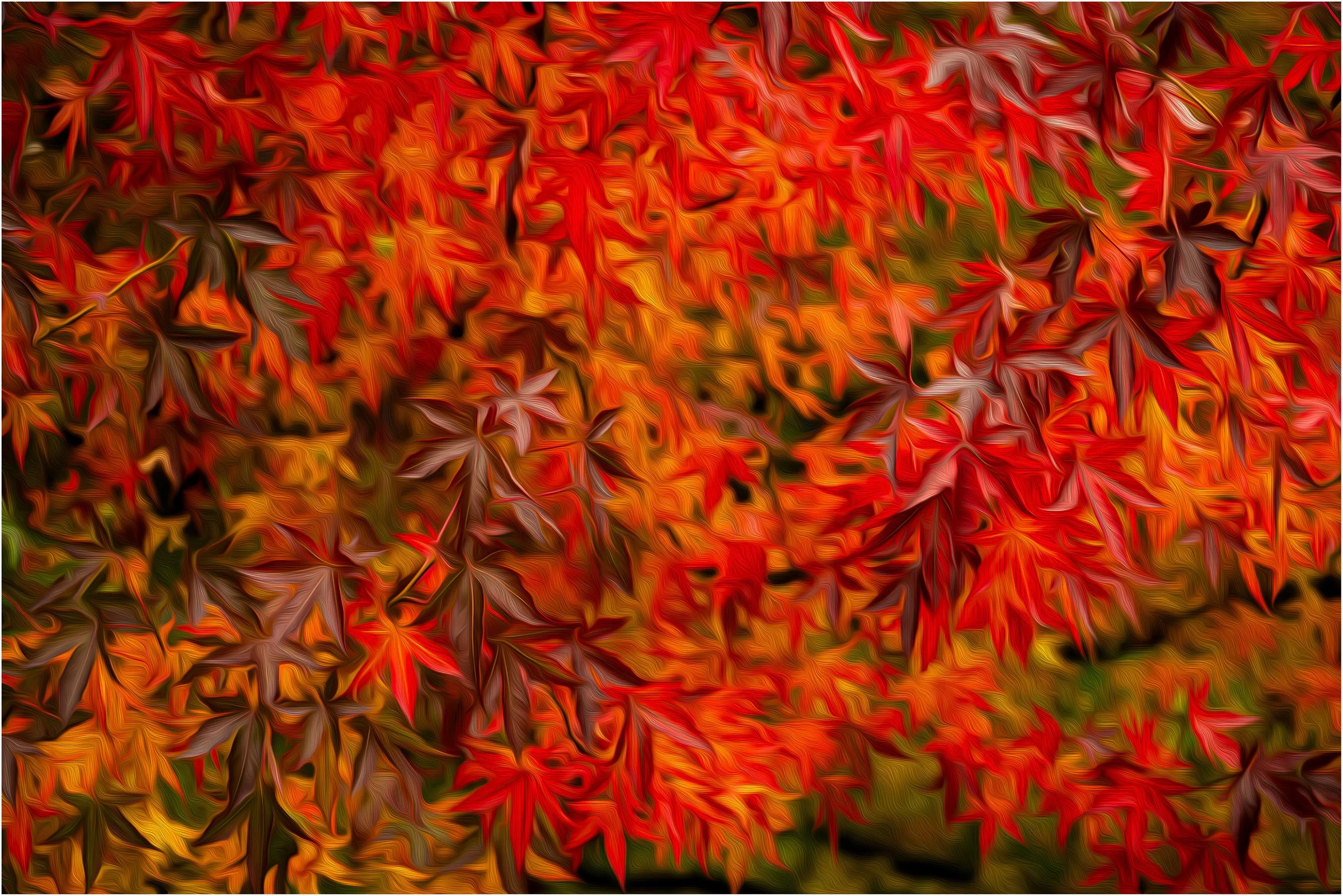 And its the start of the 2026 season