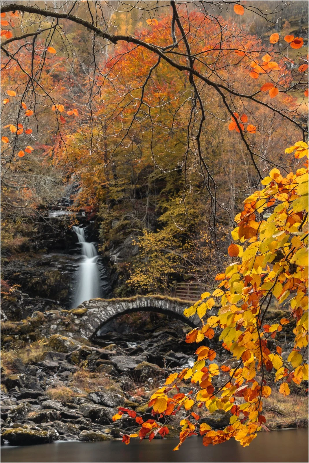 The Landscape and Nature Competitions