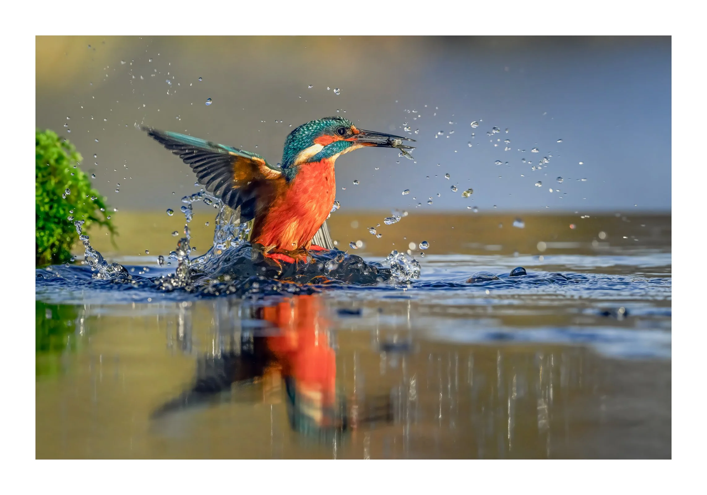 The Nature and Landscape Print Competion