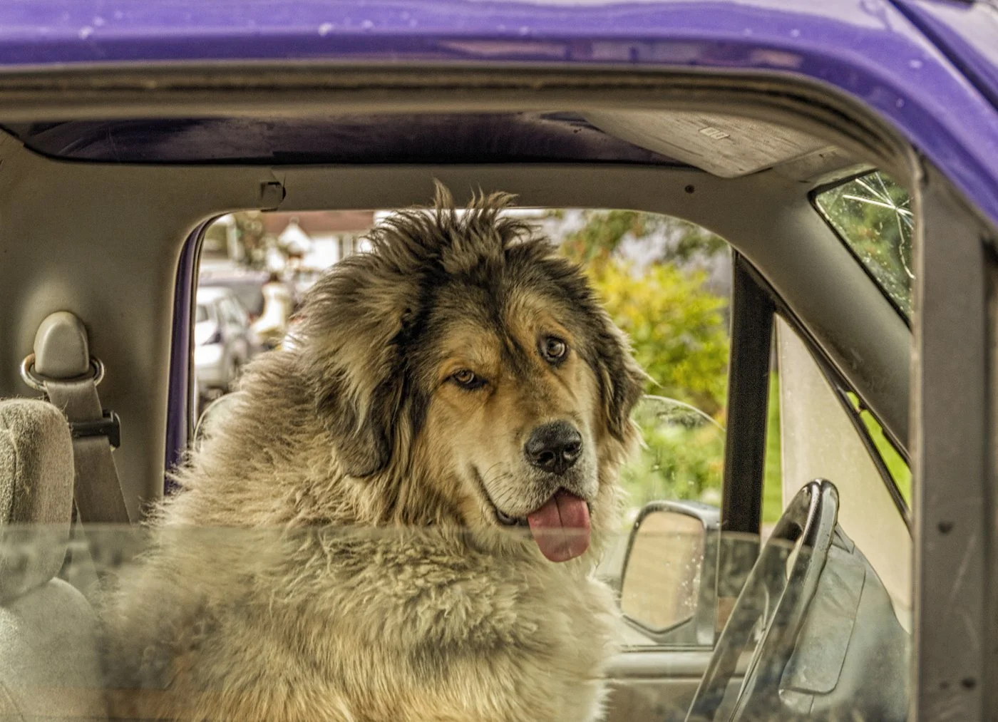 Rare Alaskan Taxi Driver