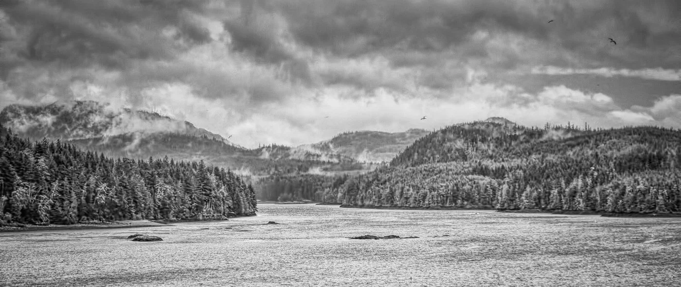 Rainy Morning in Bartlett Cove, Alaska