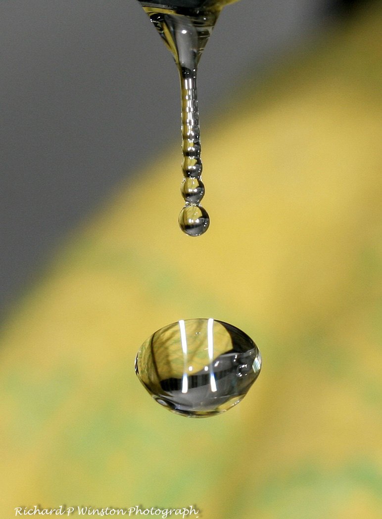 Water Droplets - 2017 (Creative PDI - 1st Place)