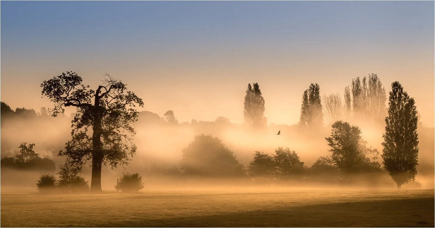 Misty Morning