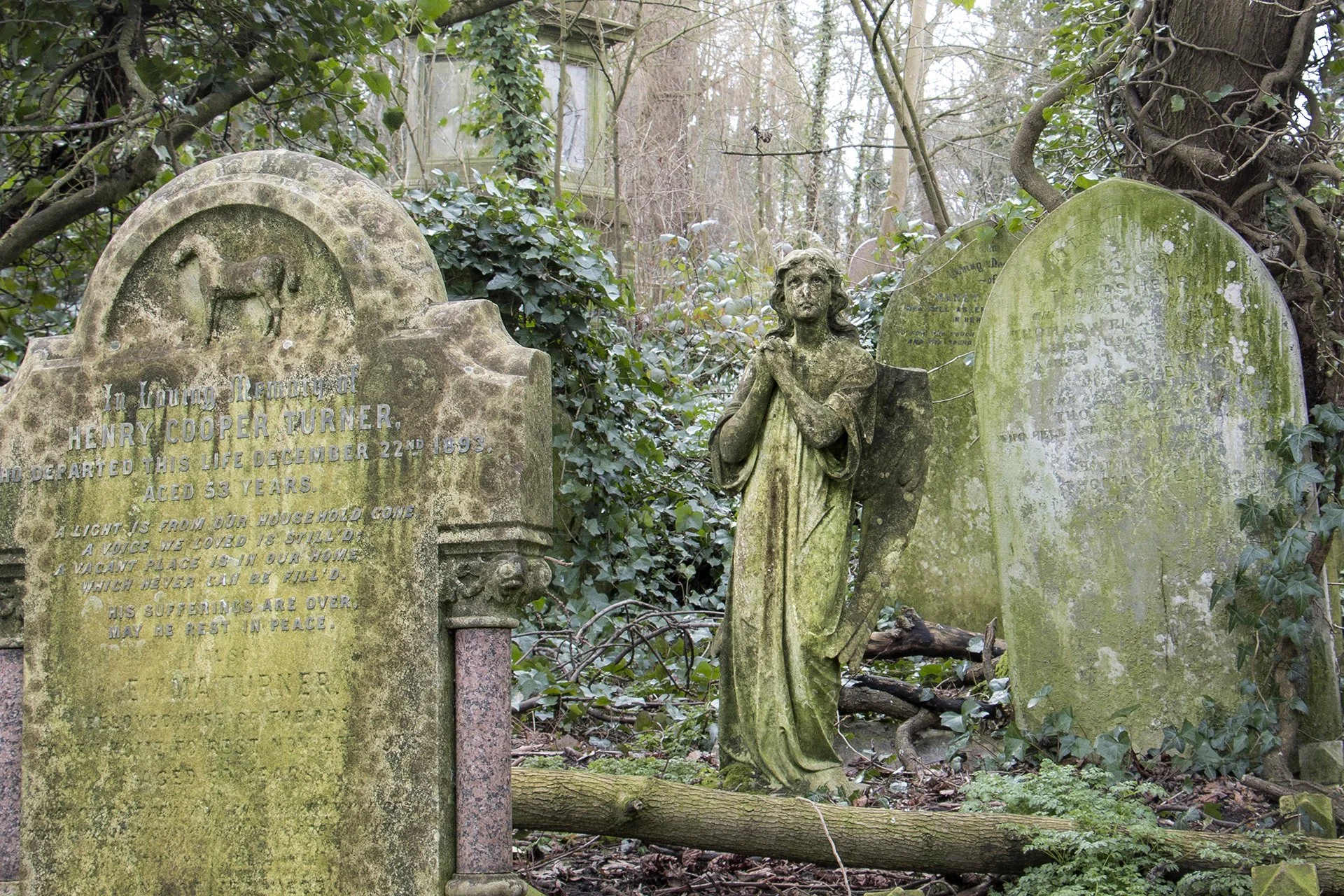 Neglected Memorials - Nunhead Cemetery