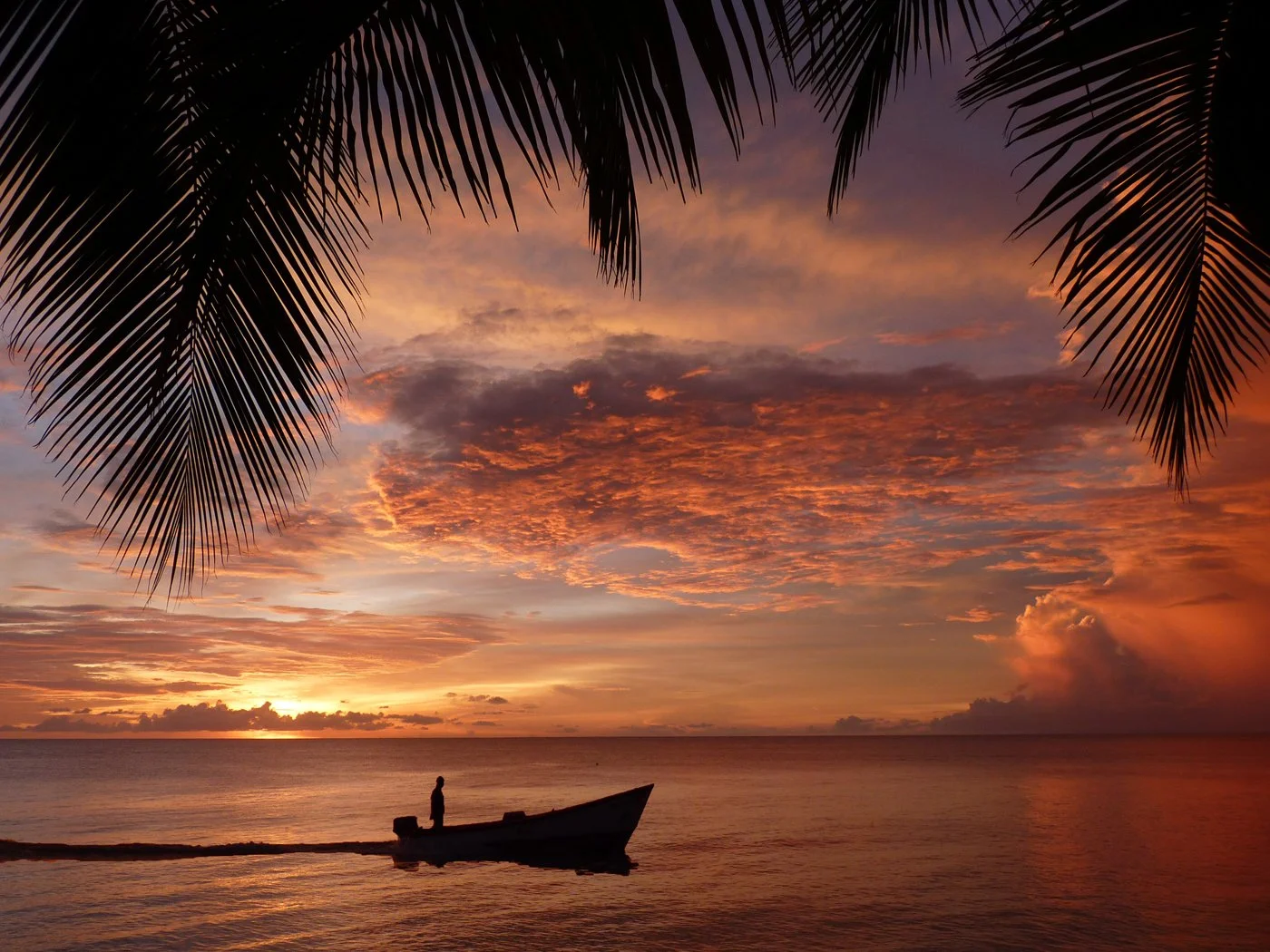 Heading Home at Sunset